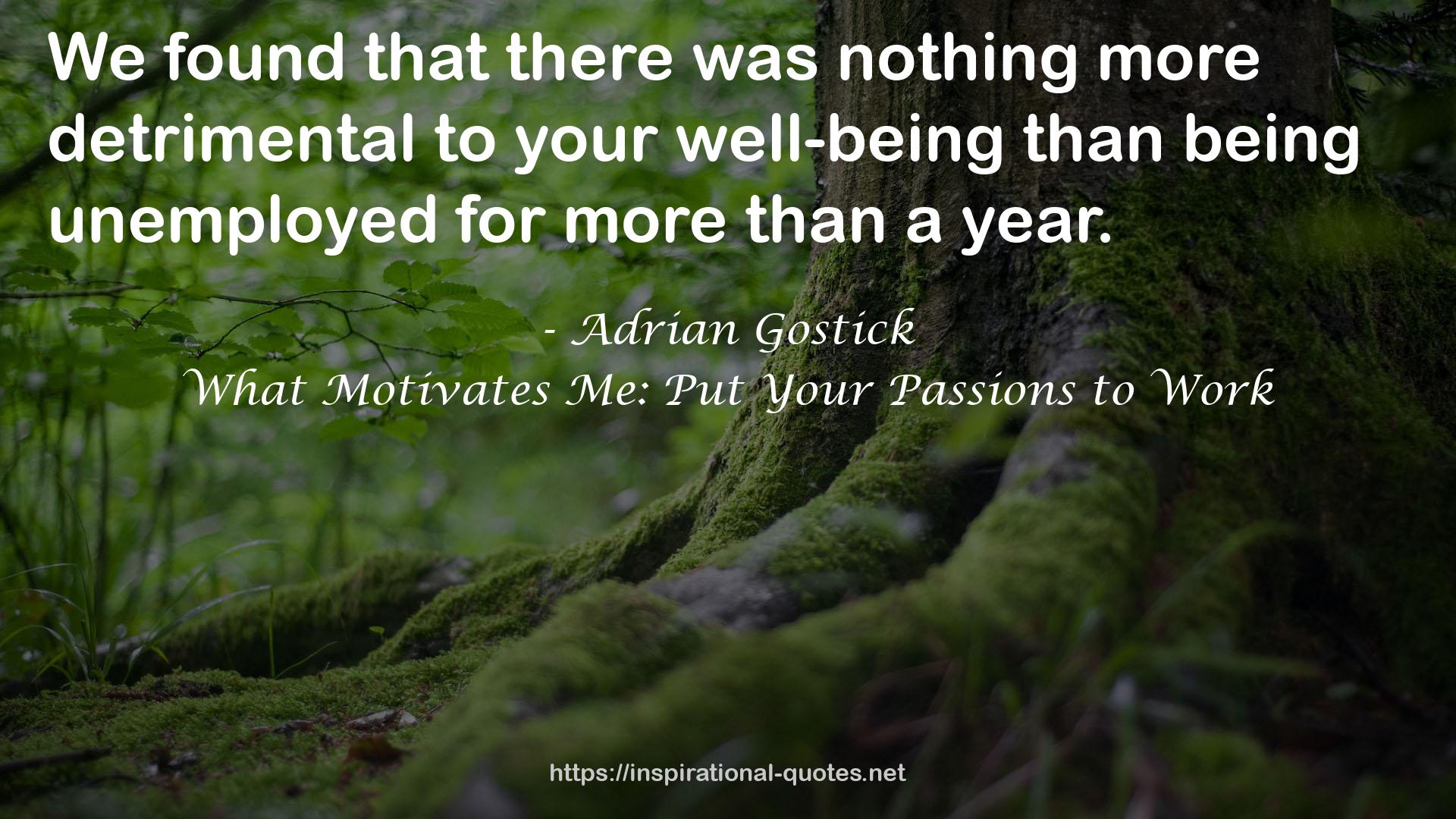 What Motivates Me: Put Your Passions to Work QUOTES