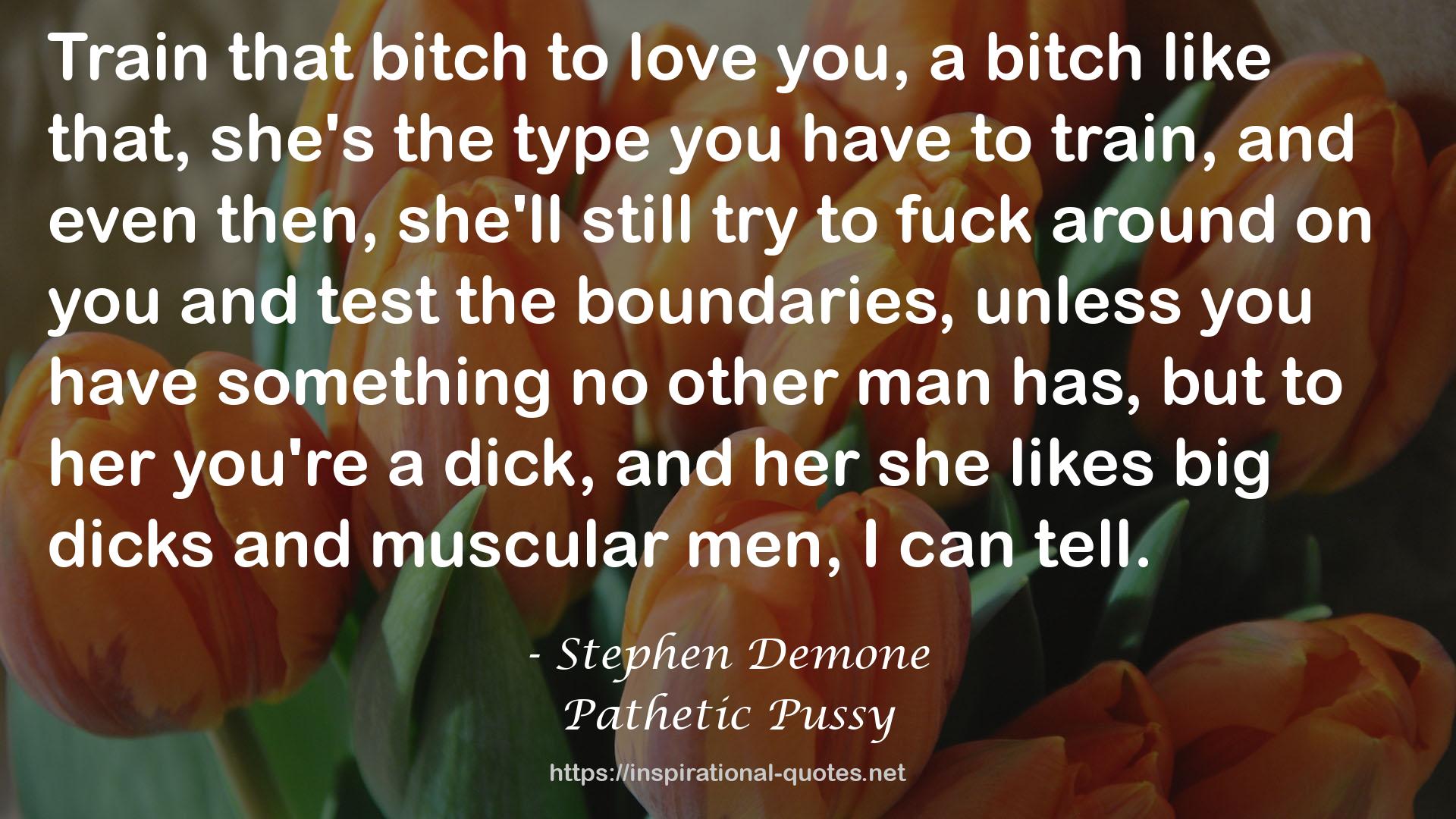 Stephen Demone QUOTES
