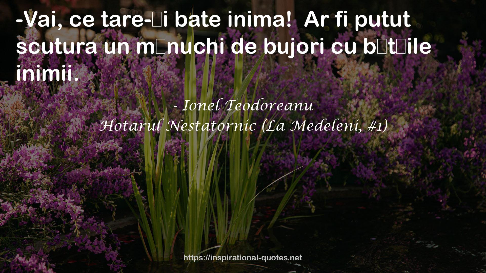 Hotarul Nestatornic (La Medeleni, #1) QUOTES