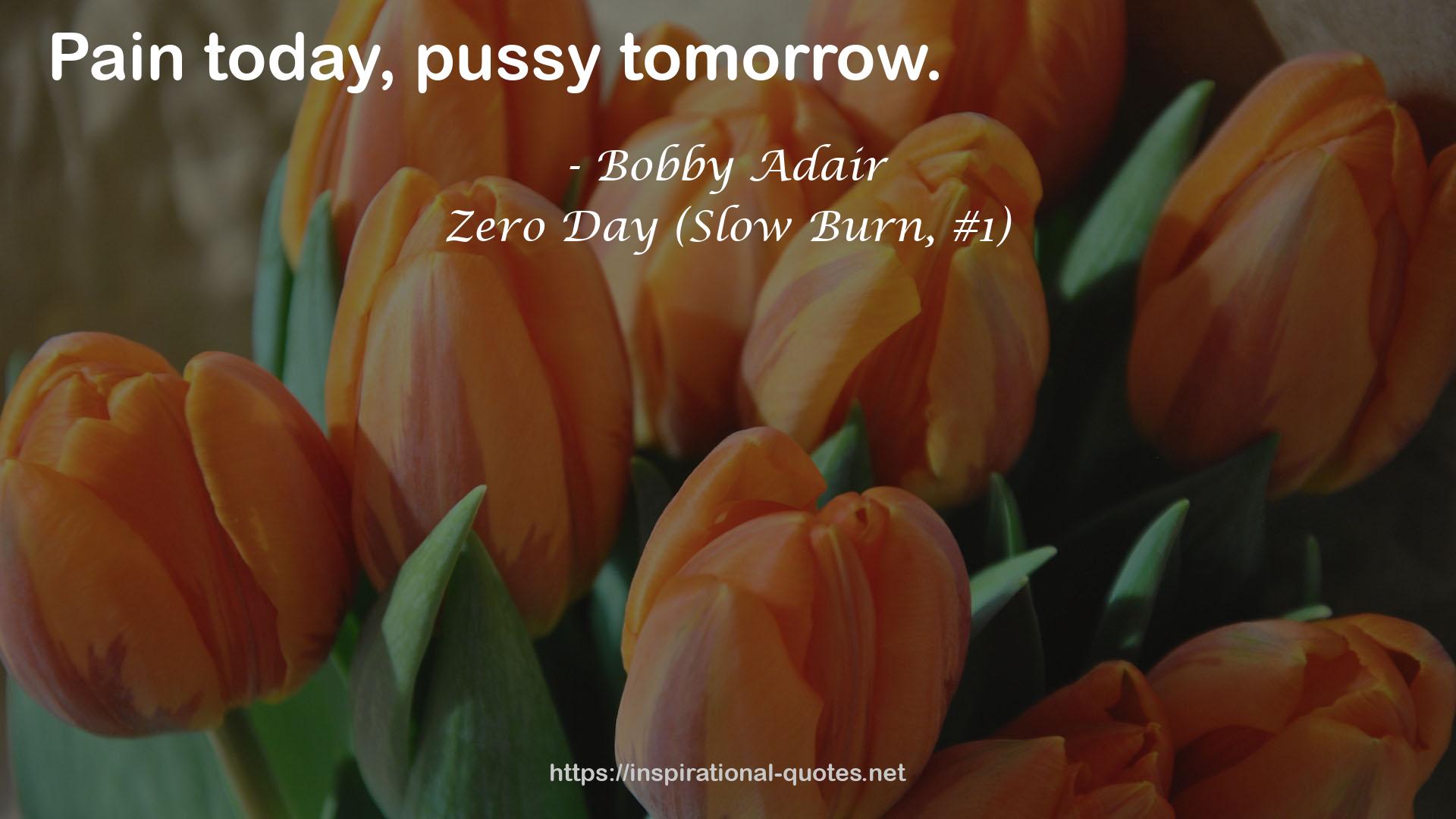 Zero Day (Slow Burn, #1) QUOTES