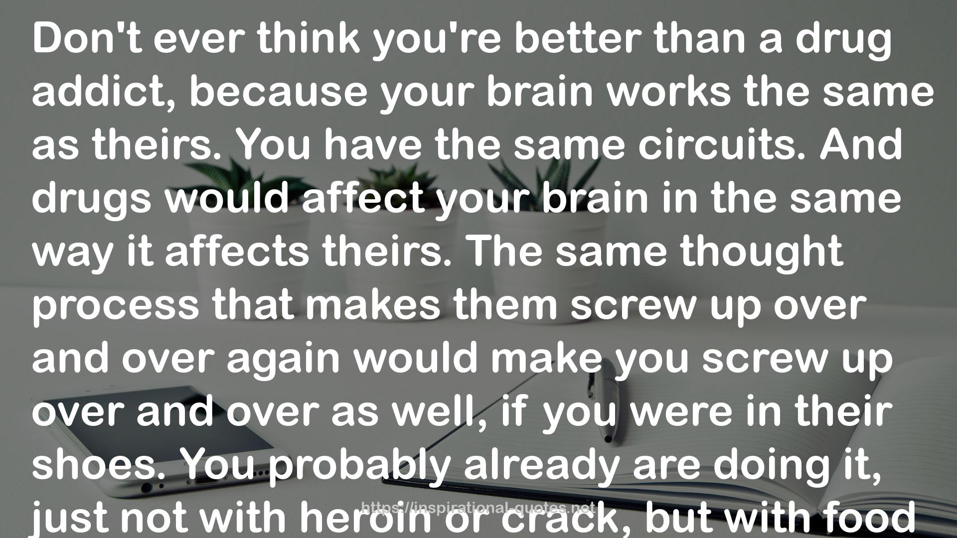 Bad Choices Make Good Stories - The Heroin Scene in Fort Myers (How the Great American Opioid Epidemic of The 21st Century Began #2) QUOTES