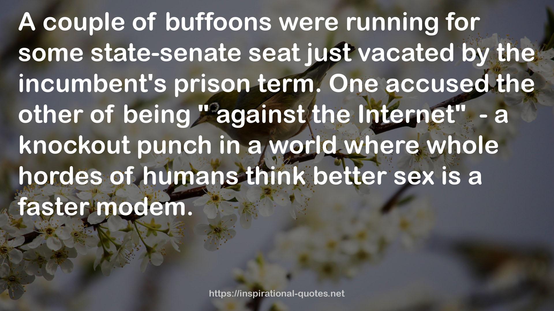 buffoons  QUOTES