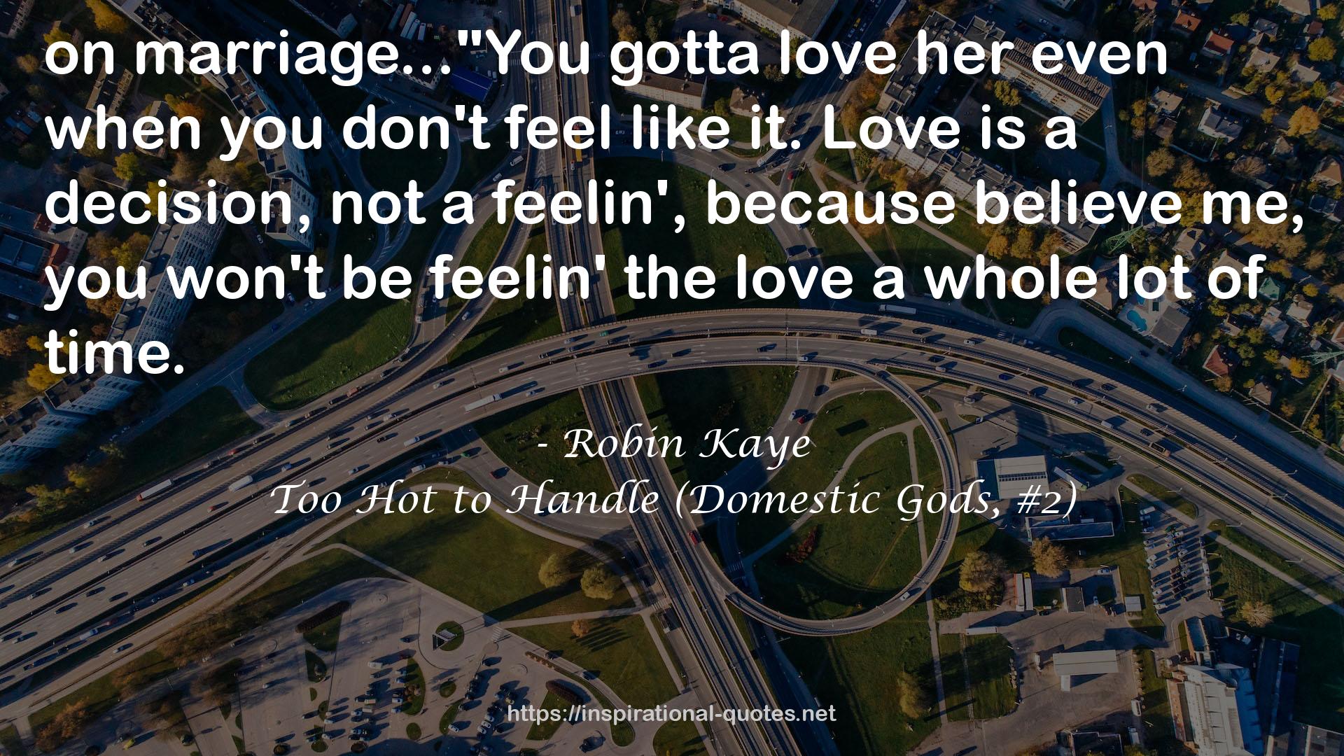 Too Hot to Handle (Domestic Gods, #2) QUOTES