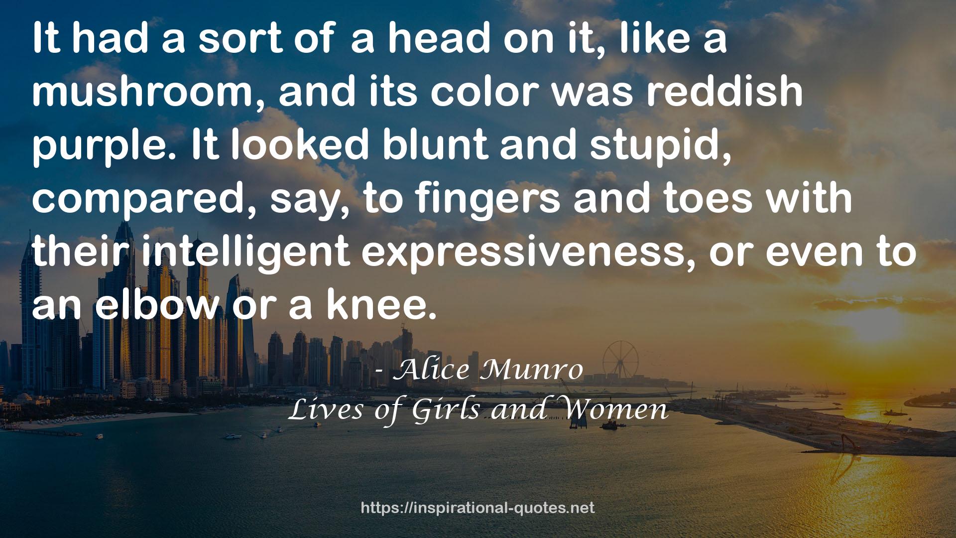 Lives of Girls and Women QUOTES