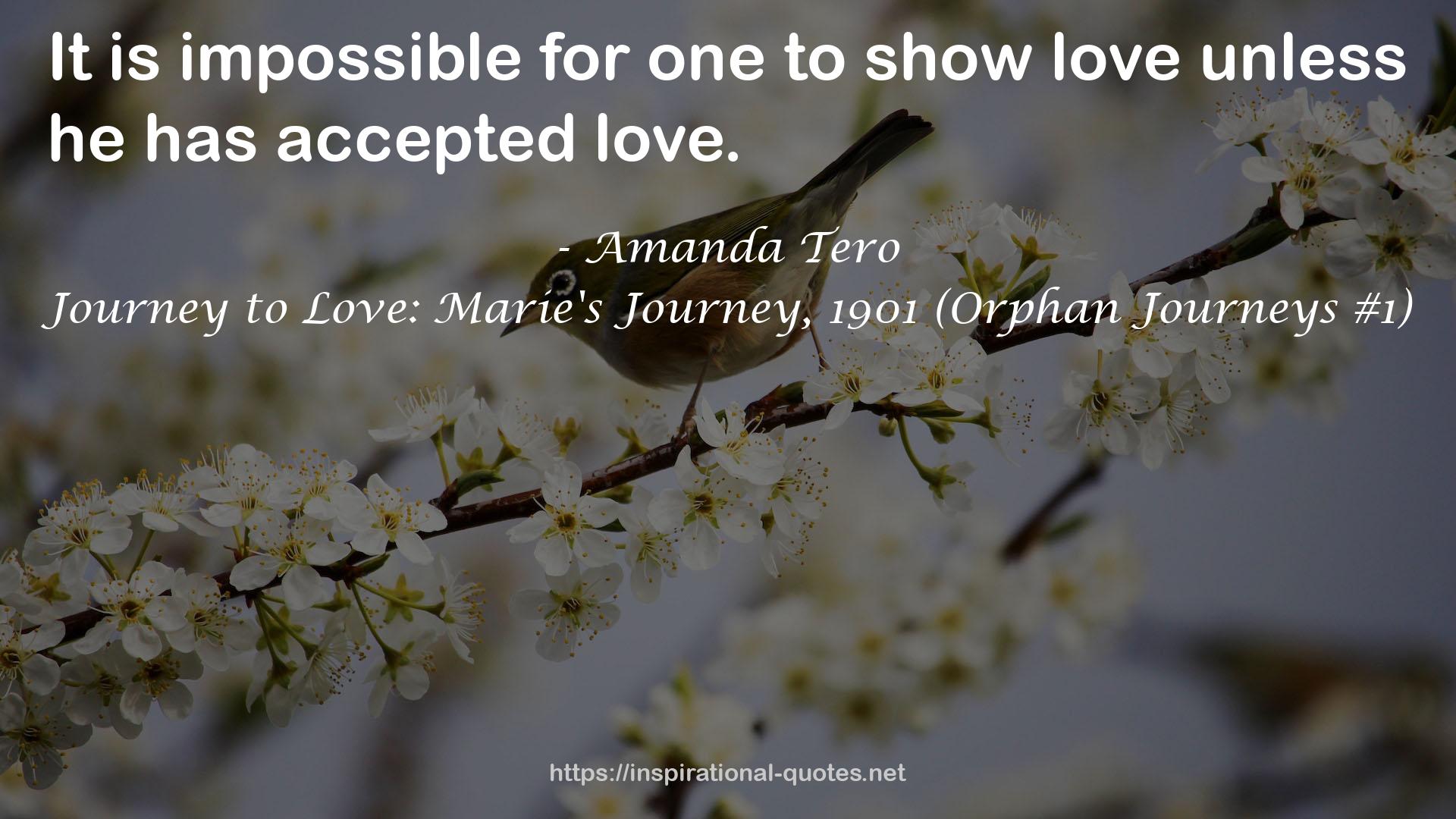 Journey to Love: Marie's Journey, 1901 (Orphan Journeys #1) QUOTES