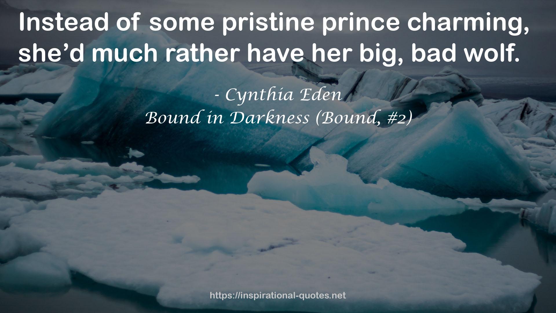 Bound in Darkness (Bound, #2) QUOTES