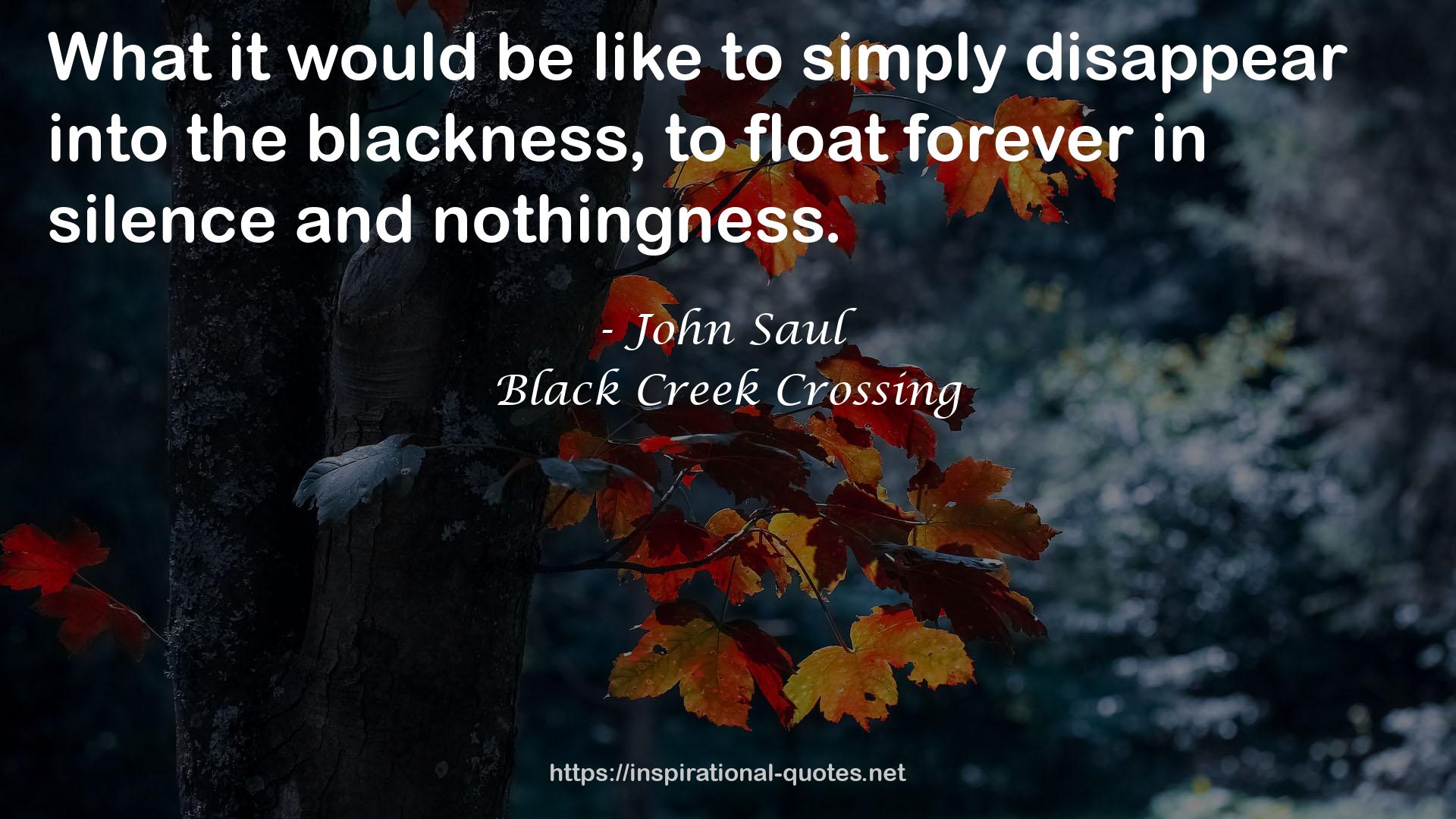 Black Creek Crossing QUOTES