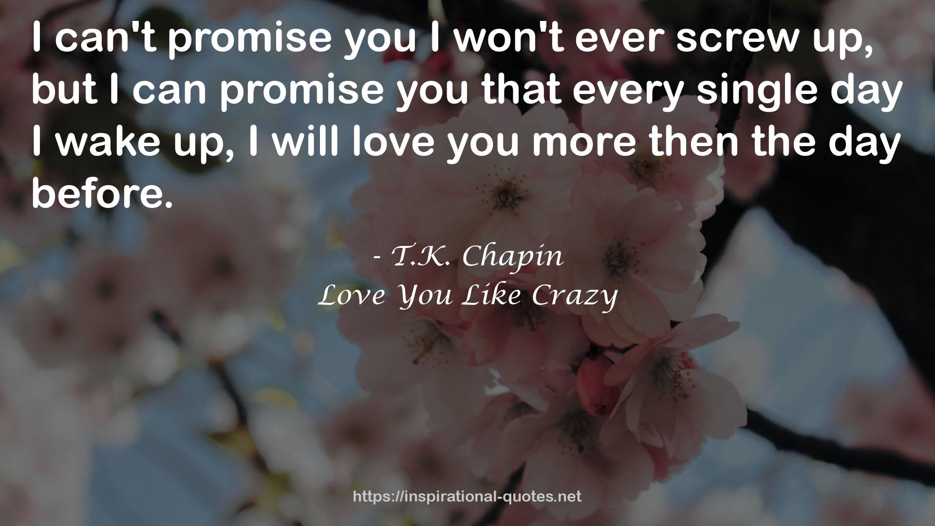 Love You Like Crazy QUOTES