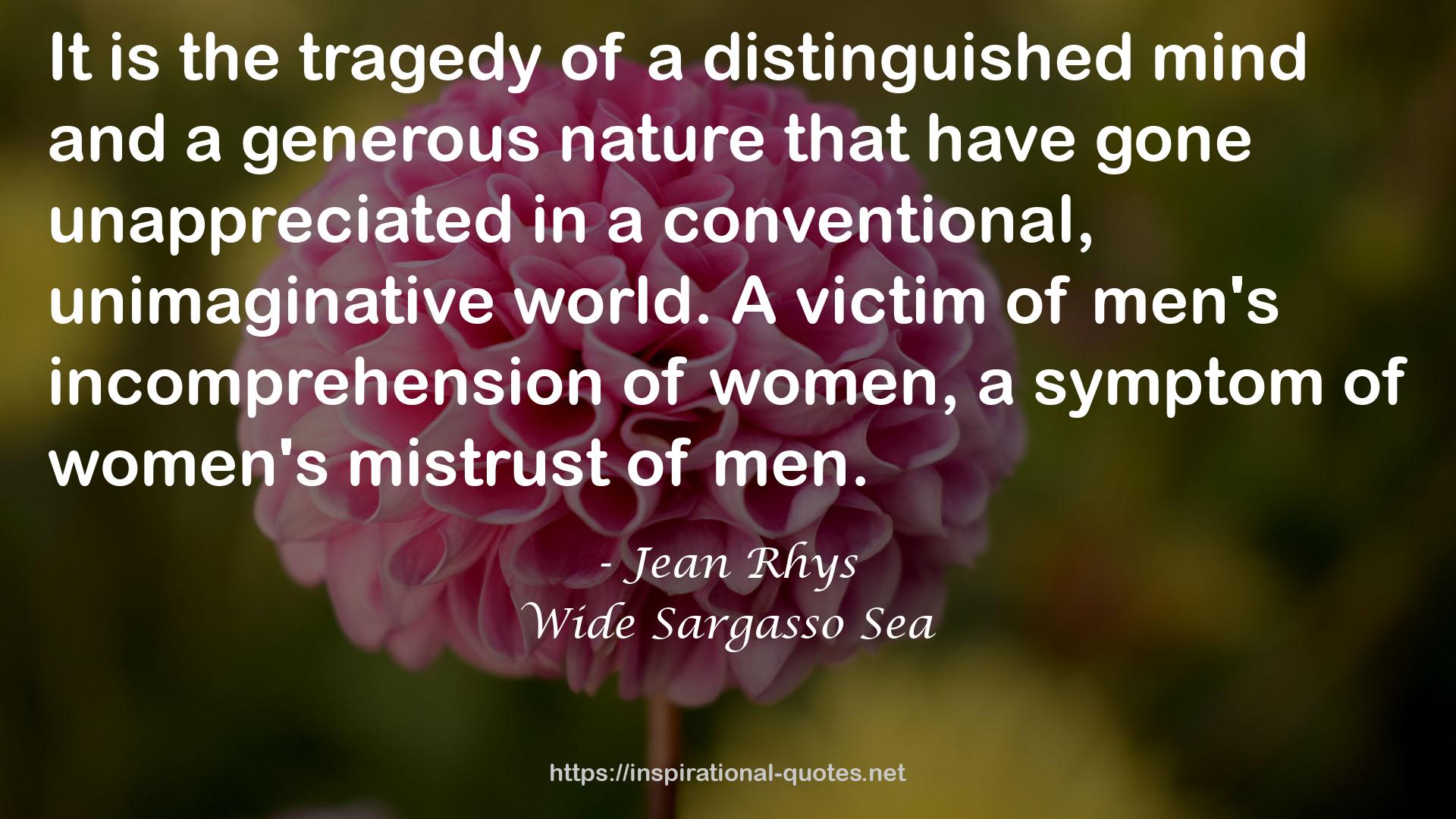 Wide Sargasso Sea QUOTES