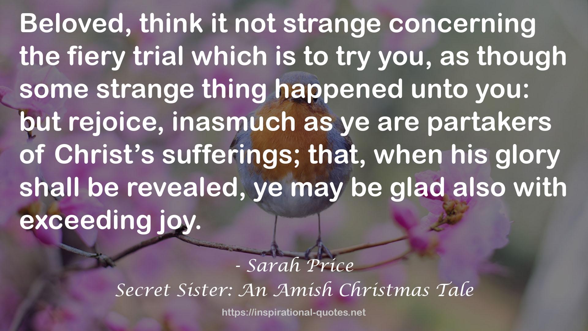 Secret Sister: An Amish Christmas Tale QUOTES