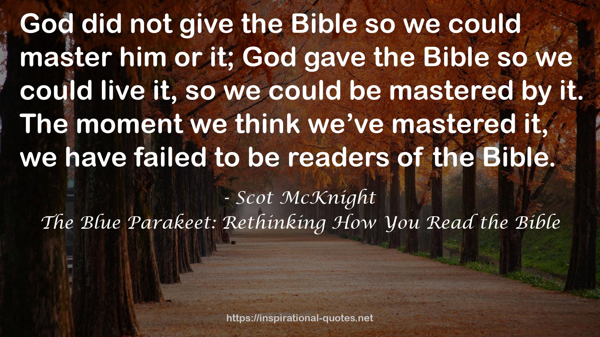 The Blue Parakeet: Rethinking How You Read the Bible QUOTES