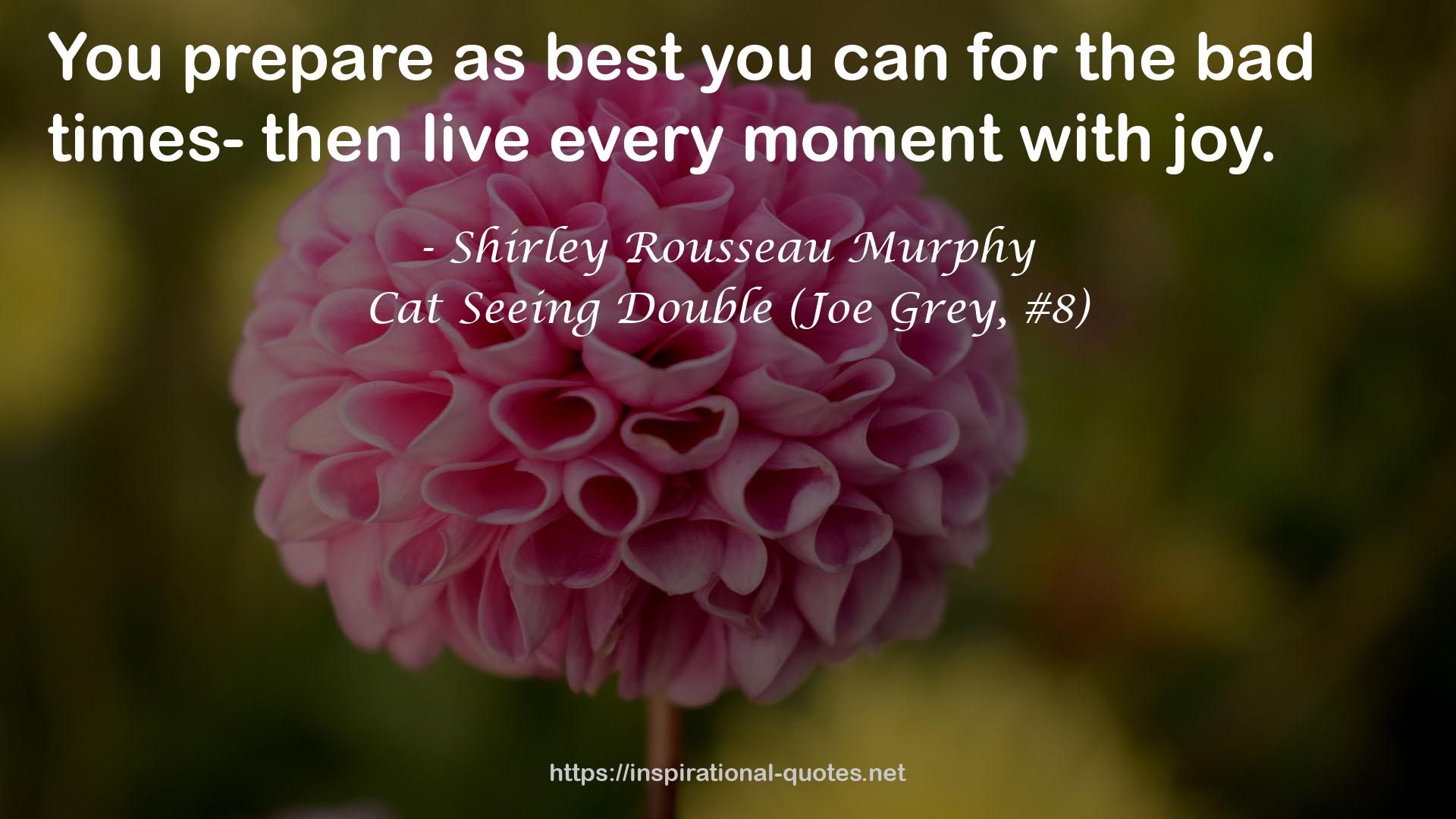 Cat Seeing Double (Joe Grey, #8) QUOTES