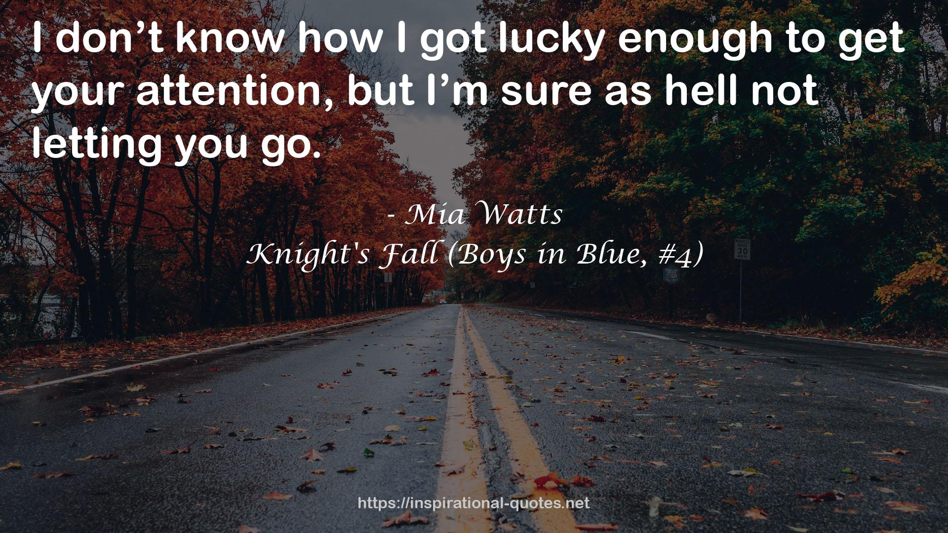 Knight's Fall (Boys in Blue, #4) QUOTES