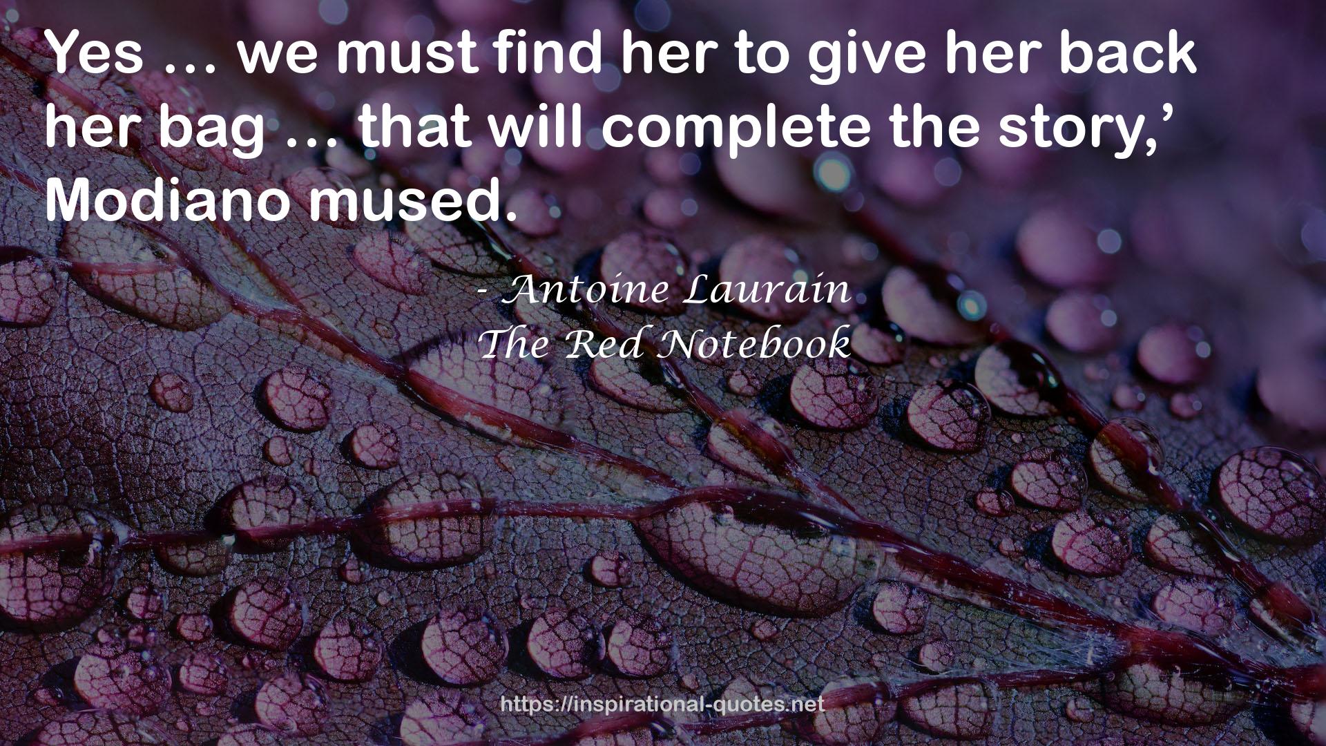 The Red Notebook QUOTES