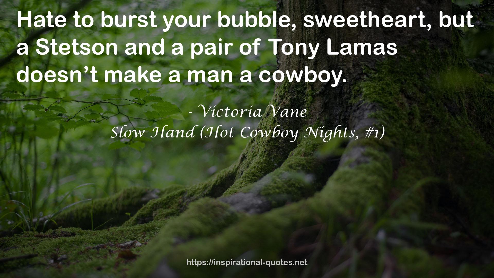 Slow Hand (Hot Cowboy Nights, #1) QUOTES