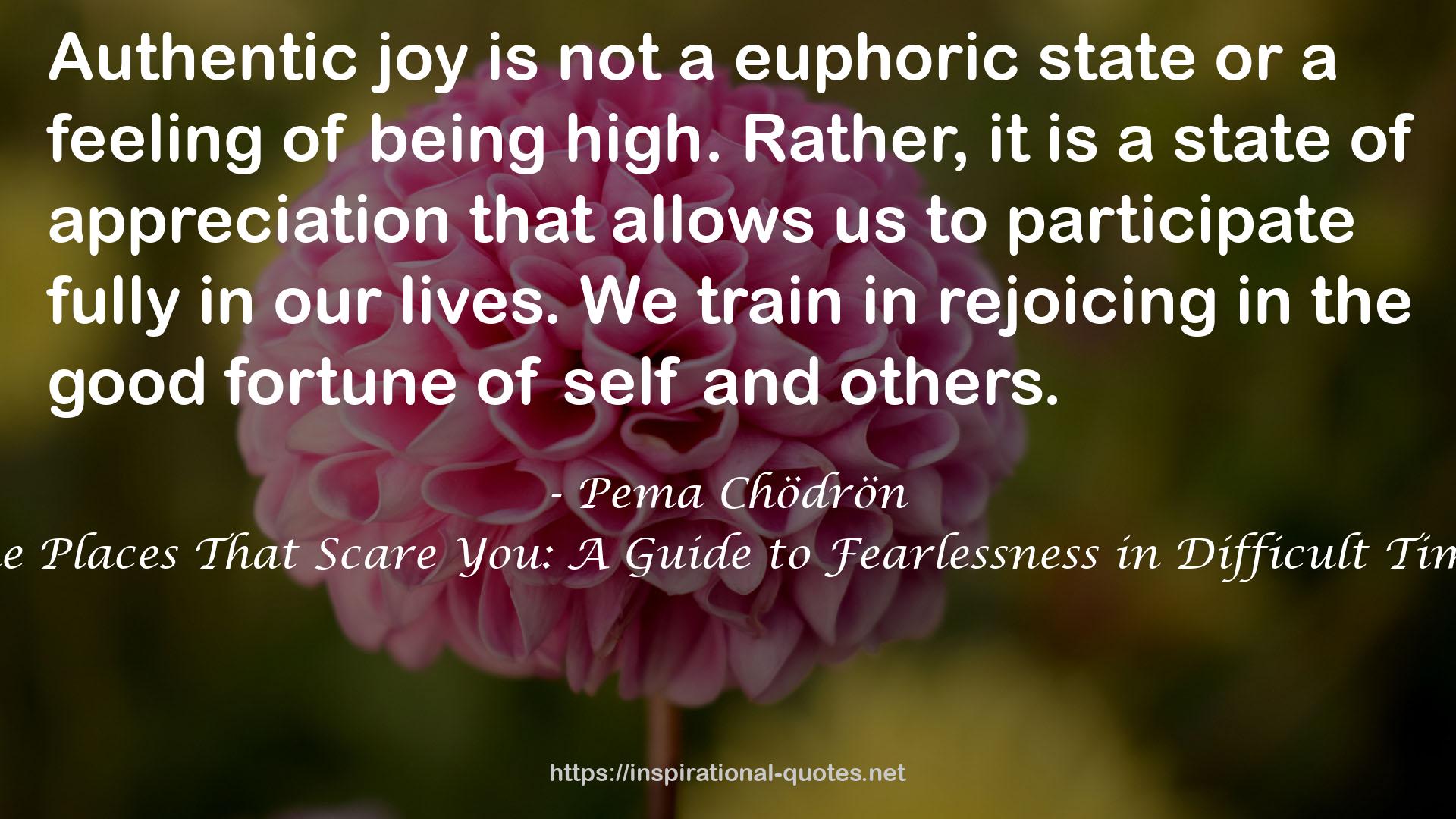 a euphoric state  QUOTES