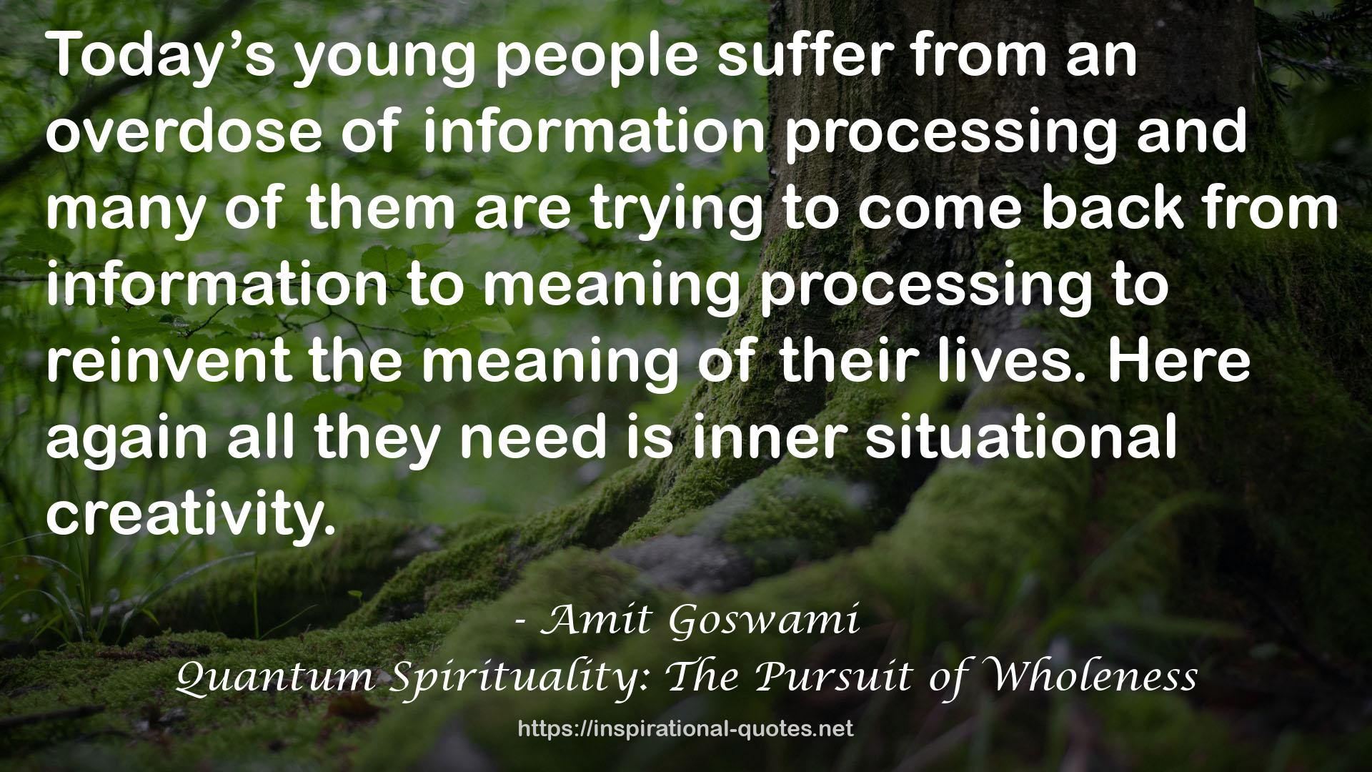 Quantum Spirituality: The Pursuit of Wholeness QUOTES