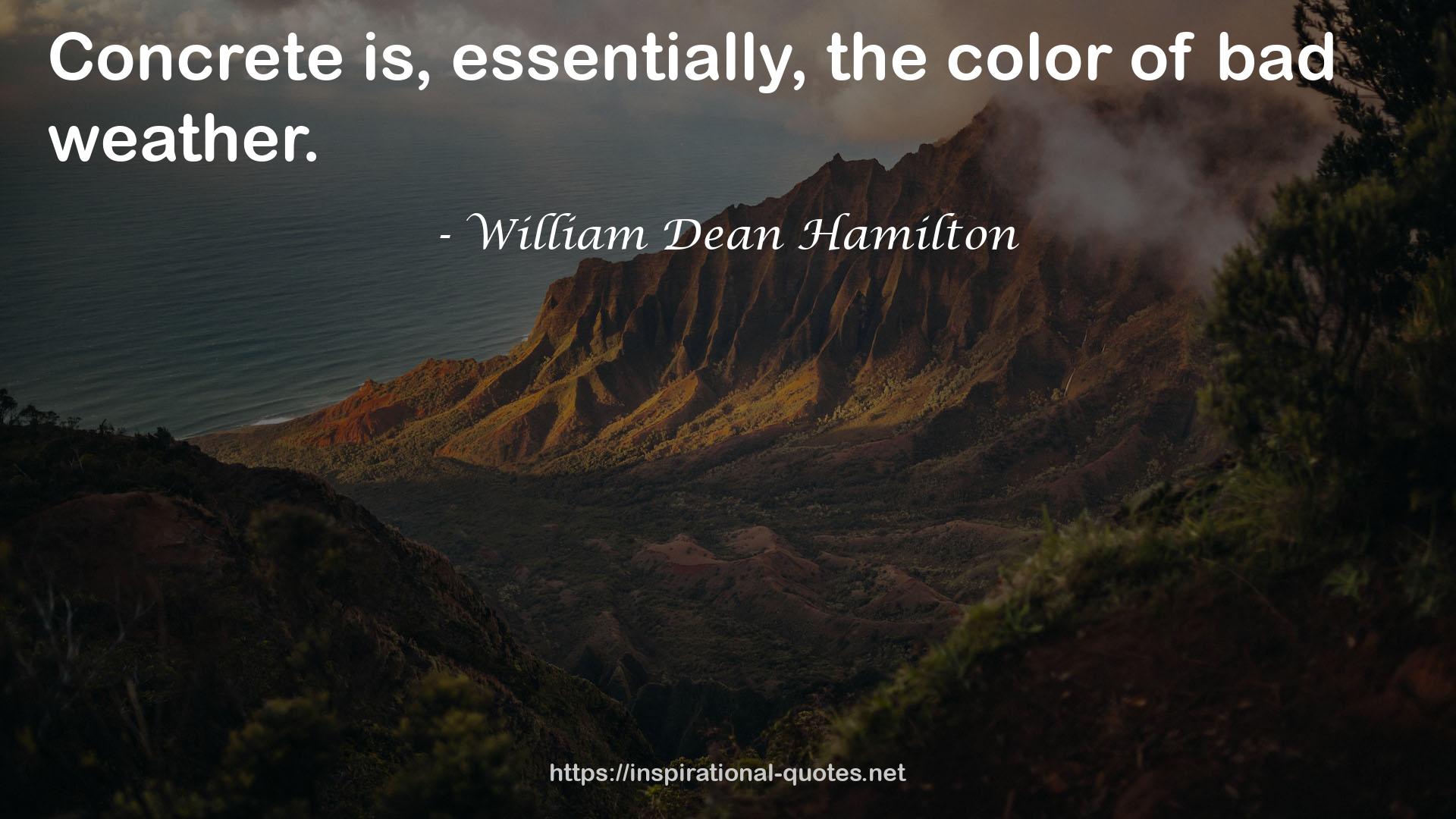 William Dean Hamilton QUOTES