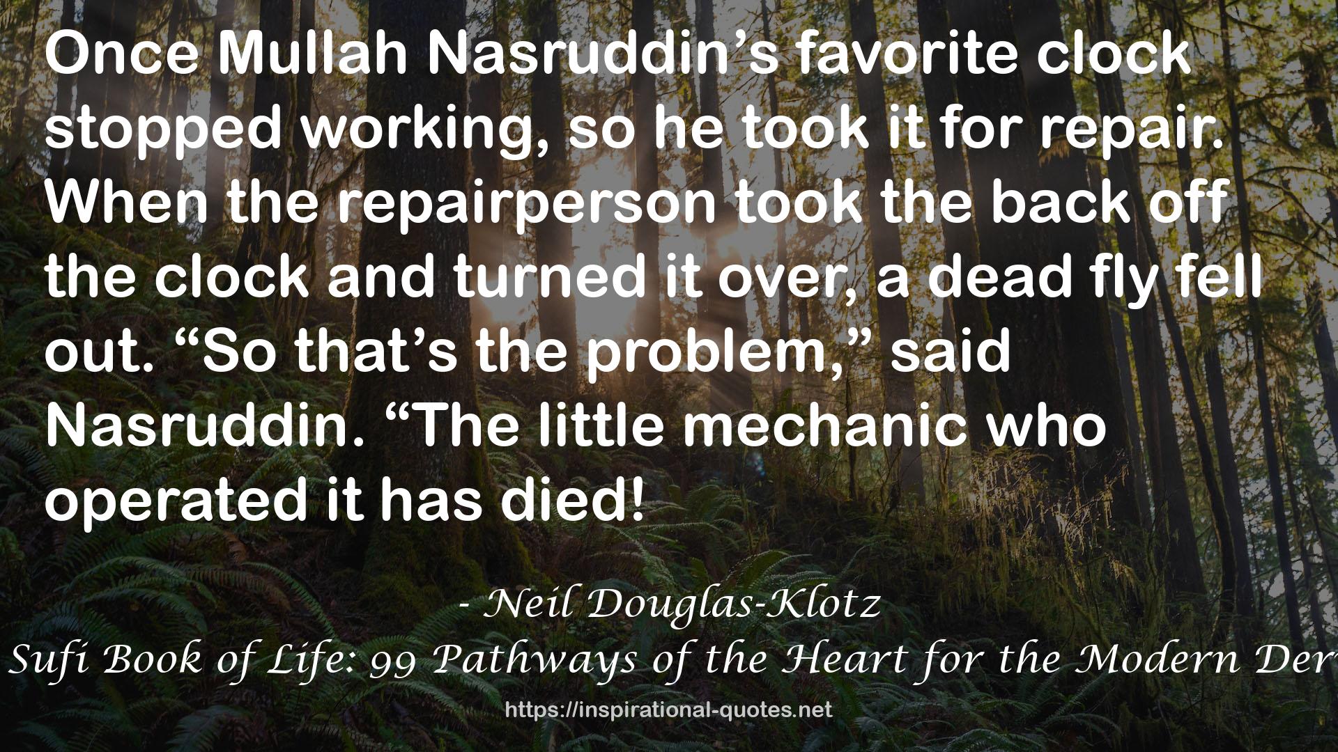 The Sufi Book of Life: 99 Pathways of the Heart for the Modern Dervish QUOTES