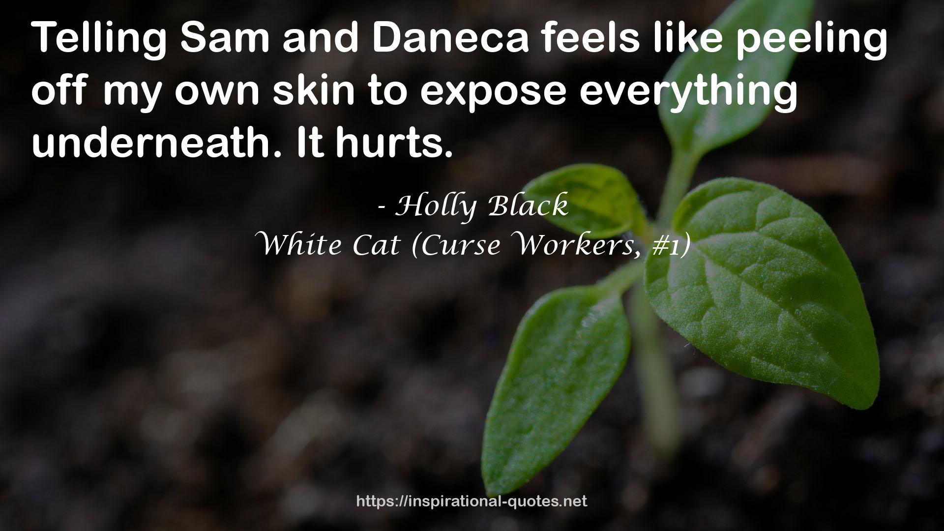 White Cat (Curse Workers, #1) QUOTES