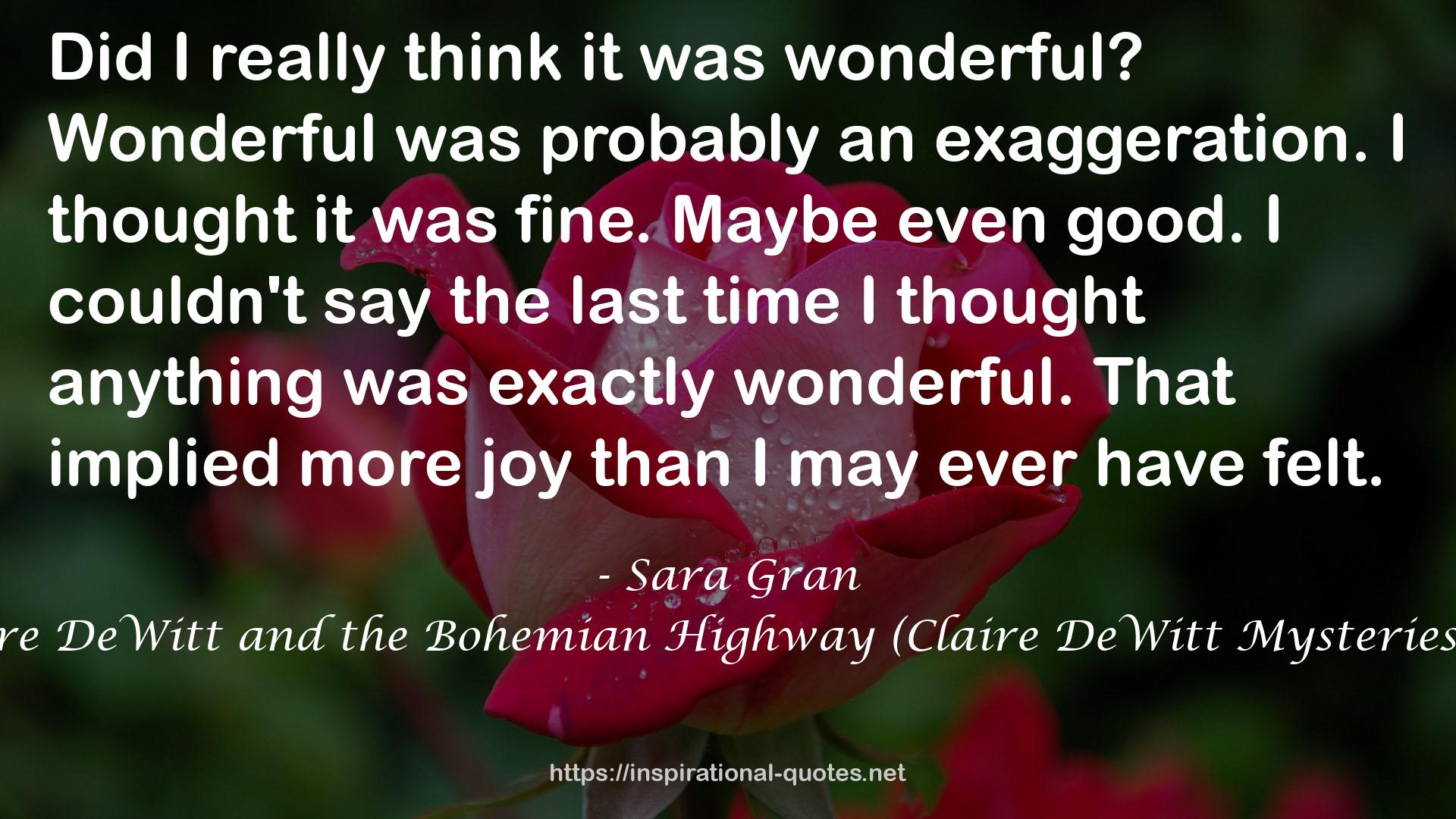 Claire DeWitt and the Bohemian Highway (Claire DeWitt Mysteries, #2) QUOTES