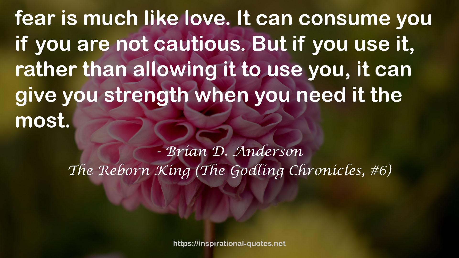 The Reborn King (The Godling Chronicles, #6) QUOTES