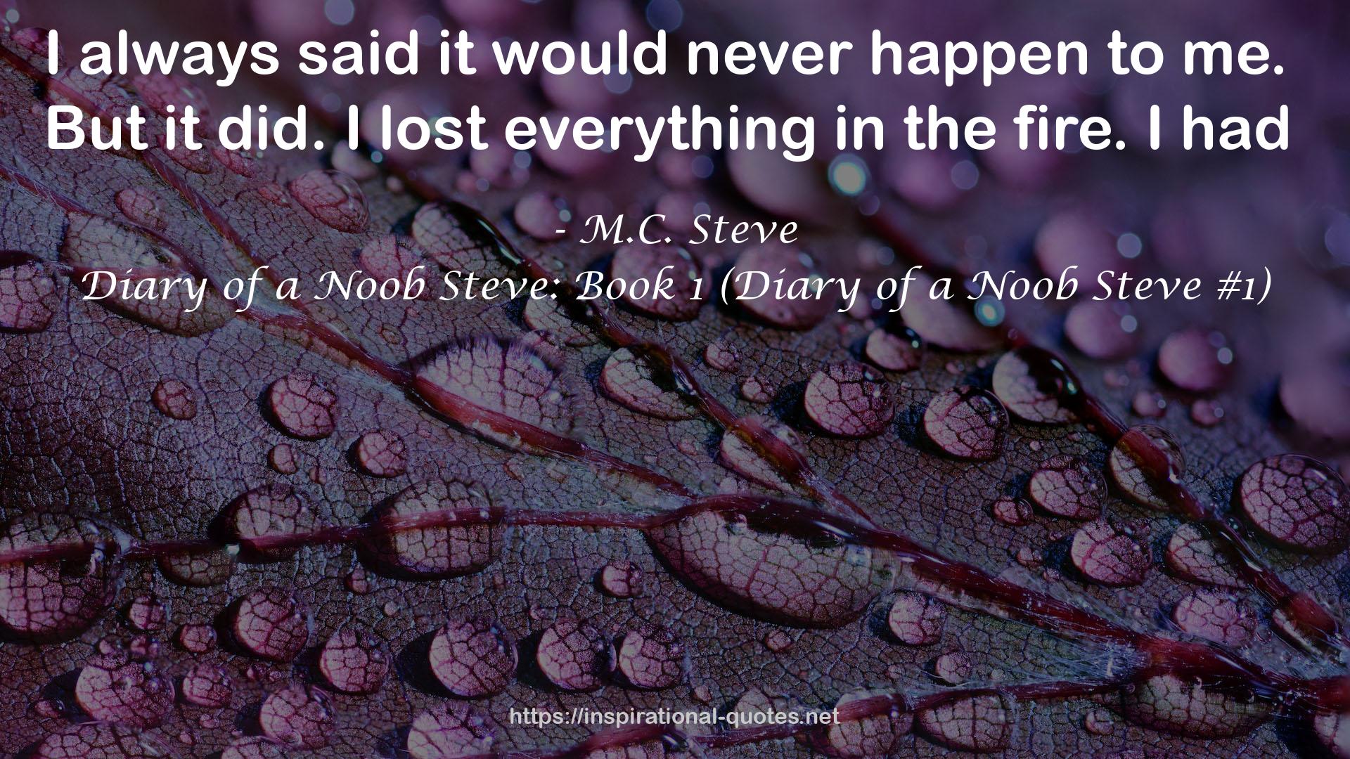 Diary of a Noob Steve: Book 1 (Diary of a Noob Steve #1) QUOTES