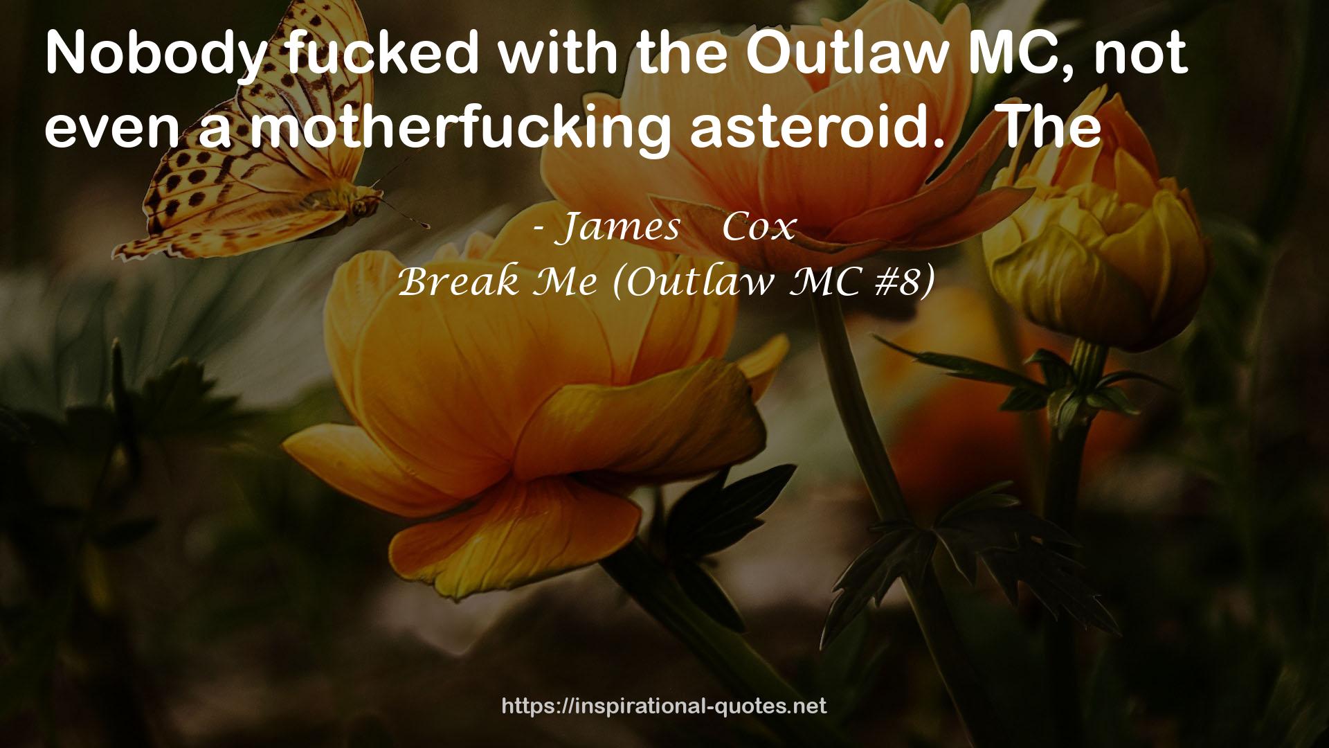 Break Me (Outlaw MC #8) QUOTES