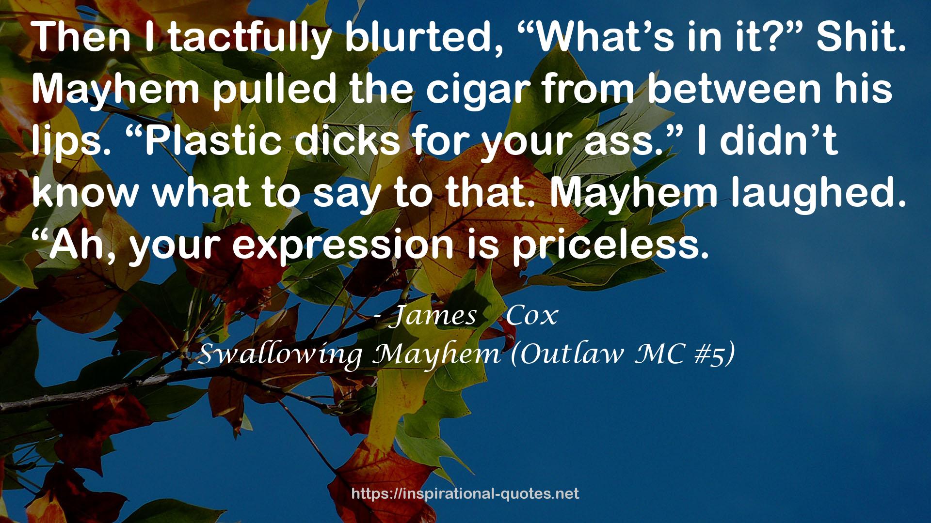 Swallowing Mayhem (Outlaw MC #5) QUOTES