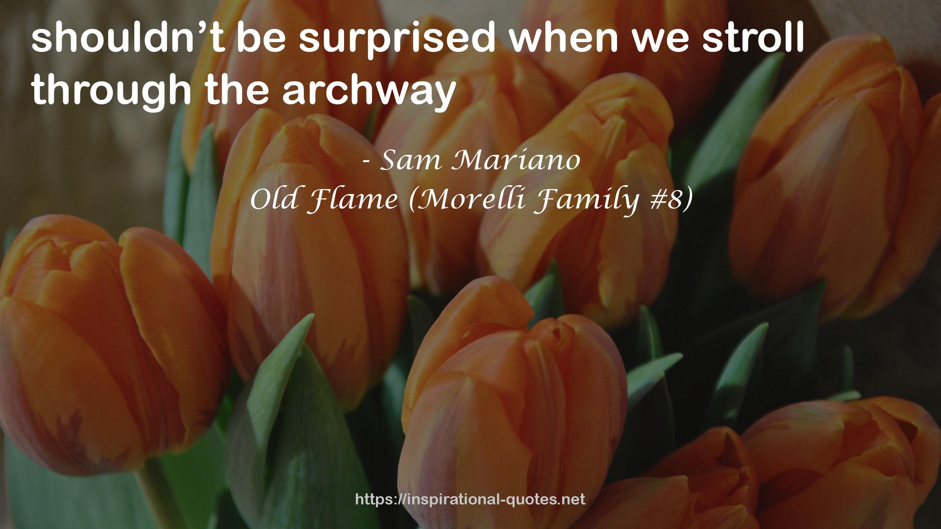 Old Flame (Morelli Family #8) QUOTES