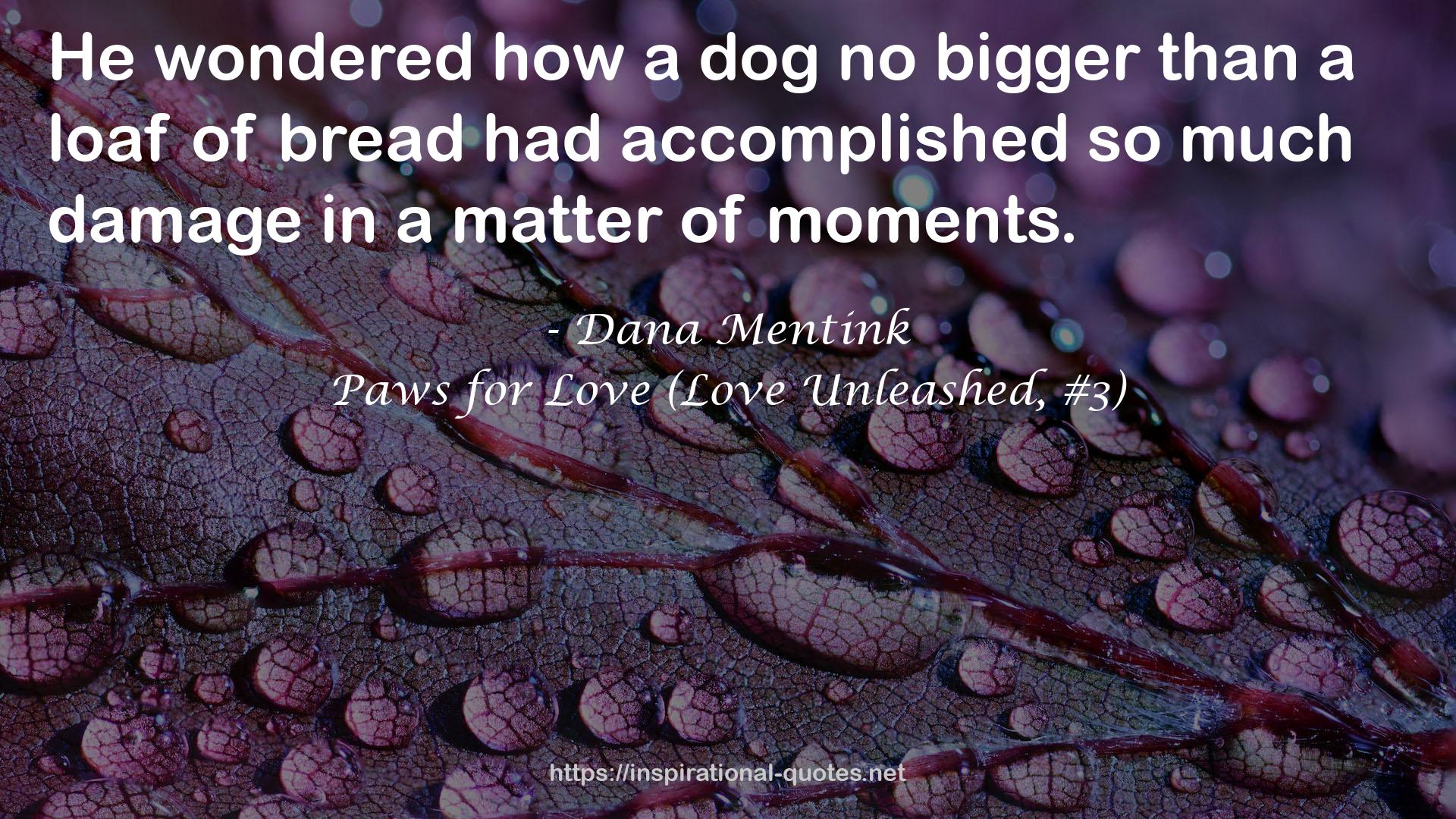 Paws for Love (Love Unleashed, #3) QUOTES