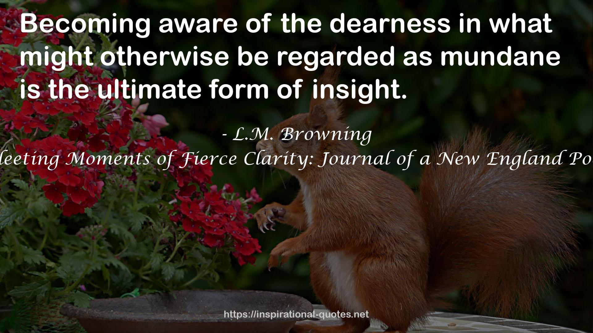 Fleeting Moments of Fierce Clarity: Journal of a New England Poet QUOTES