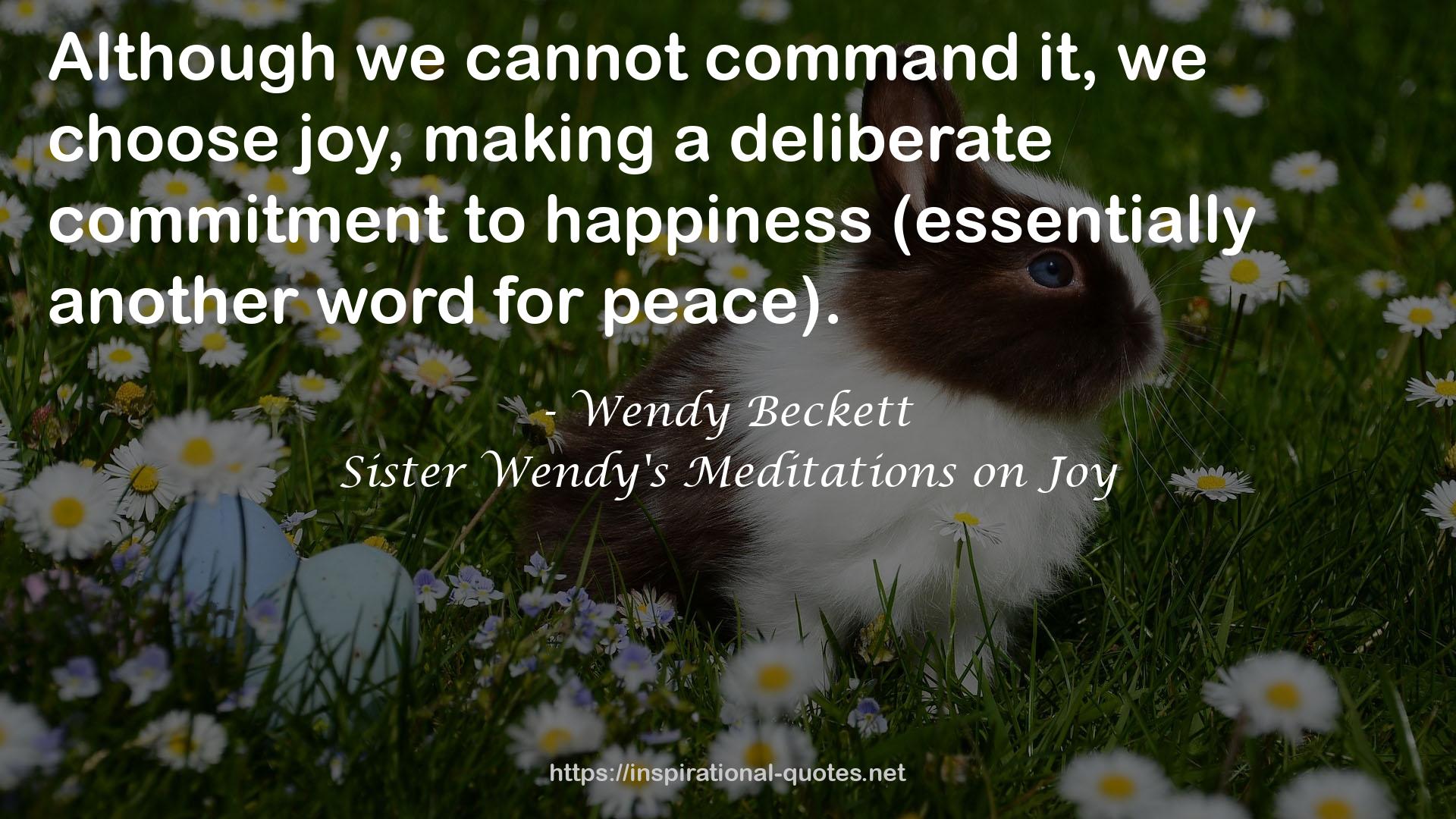 Sister Wendy's Meditations on Joy QUOTES