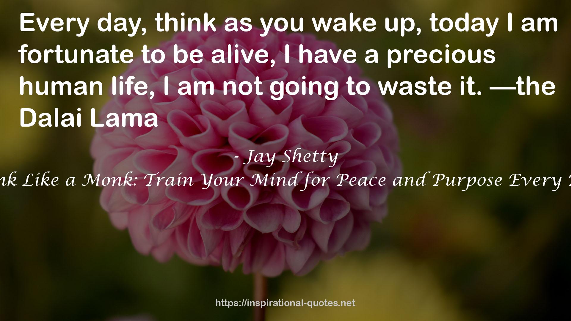 Jay Shetty QUOTES