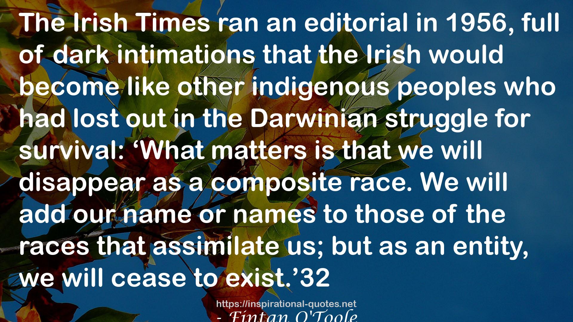 We Don't Know Ourselves: A Personal History of Modern Ireland QUOTES