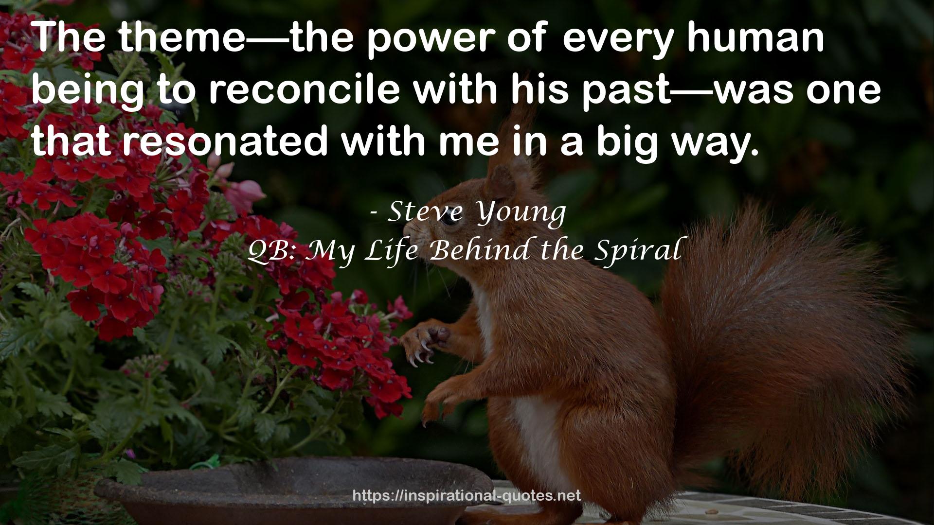 QB: My Life Behind the Spiral QUOTES
