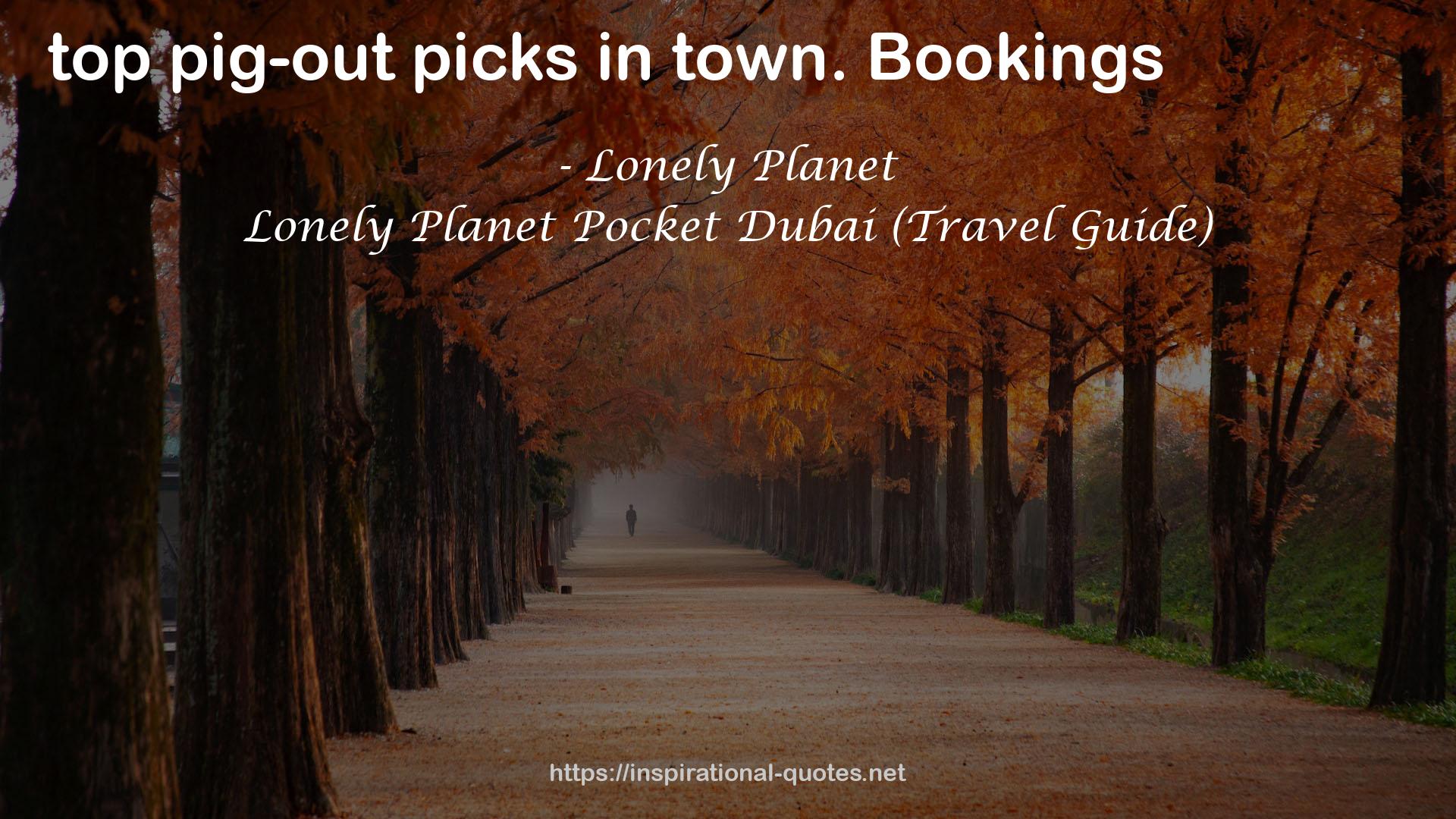 Lonely Planet Pocket Dubai (Travel Guide) QUOTES