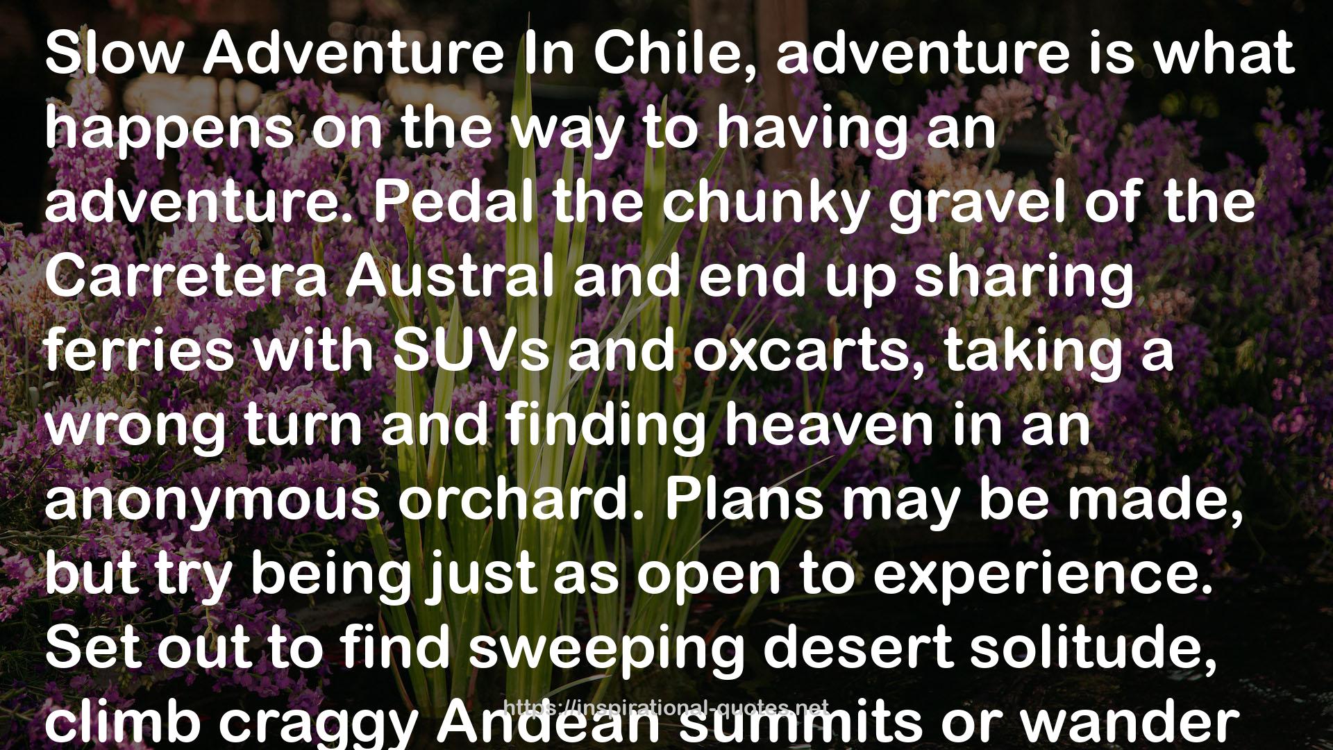 Lonely Planet Chile & Easter Island (Travel Guide) QUOTES