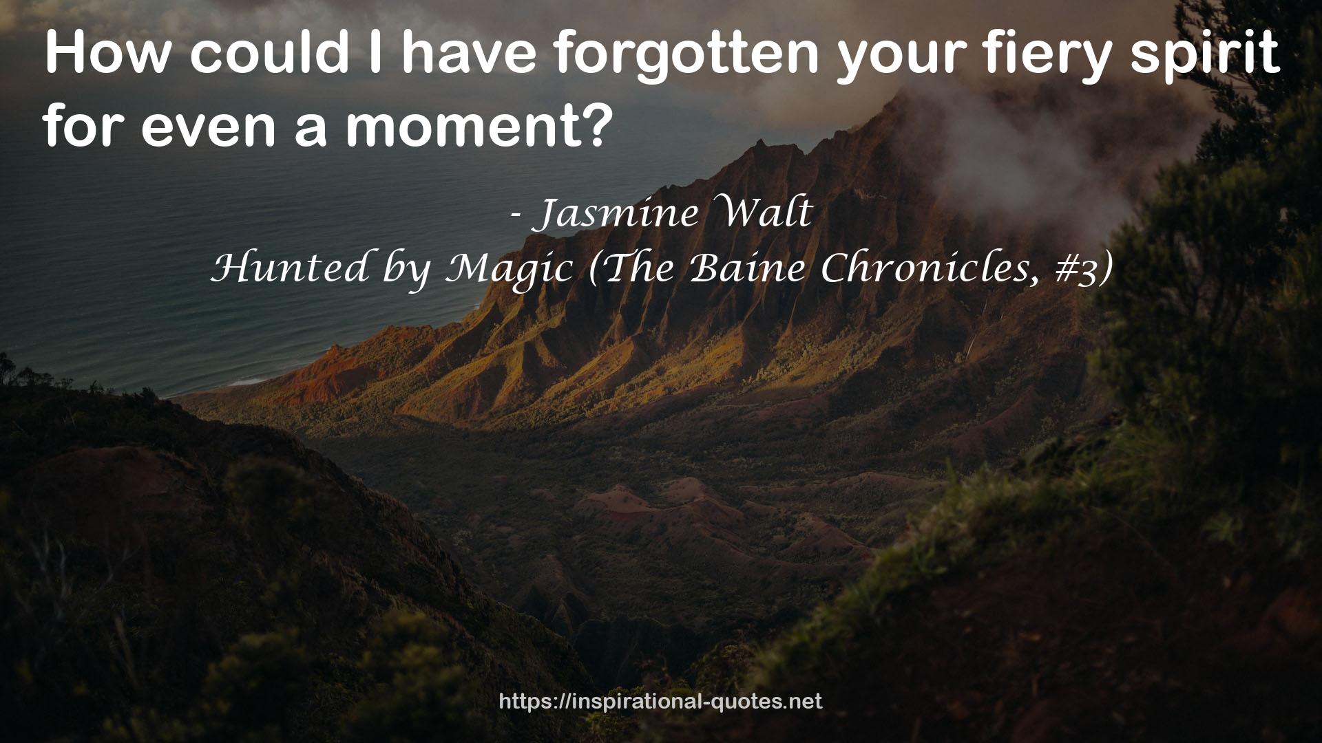 Hunted by Magic (The Baine Chronicles, #3) QUOTES
