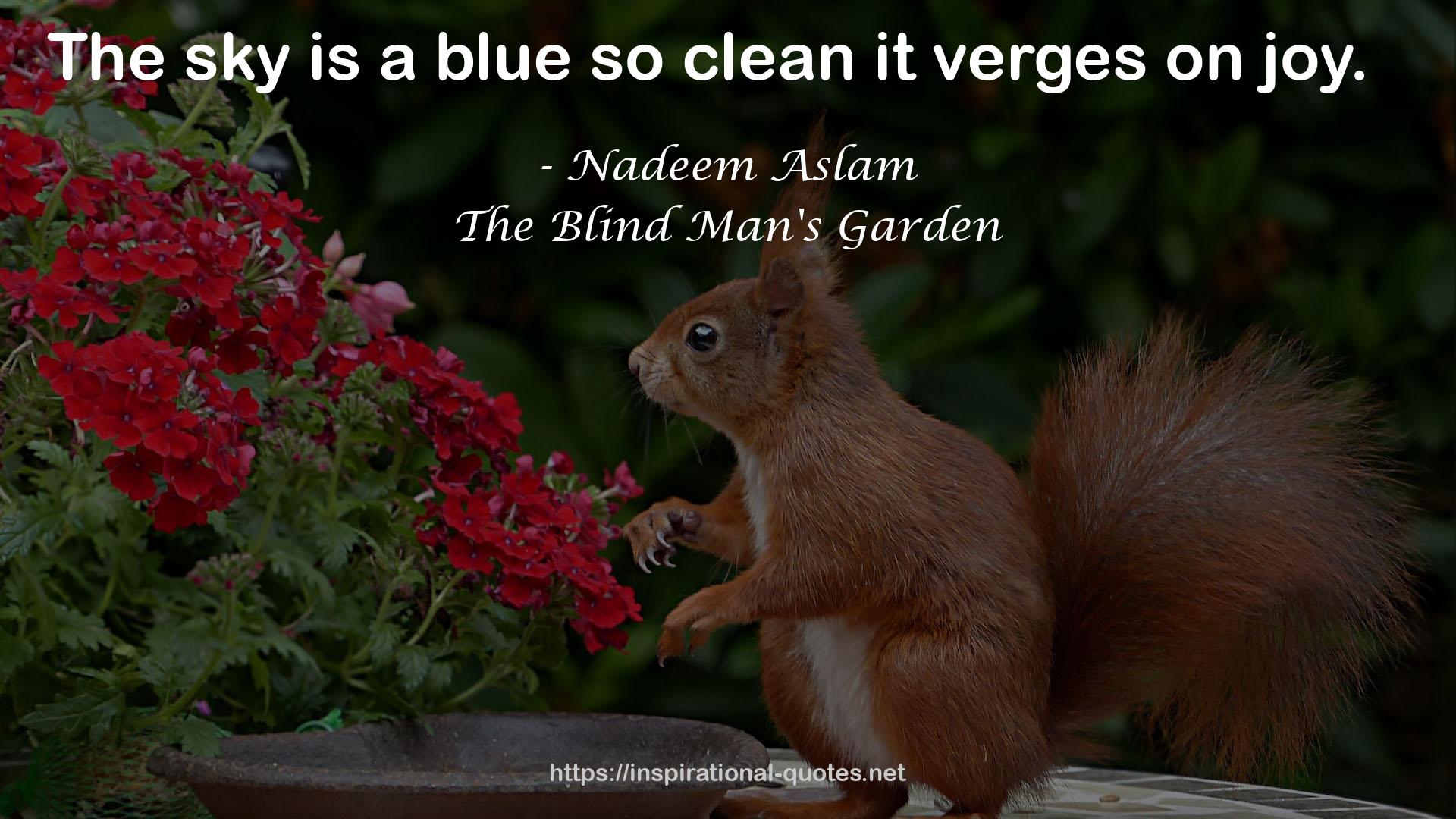 The Blind Man's Garden QUOTES