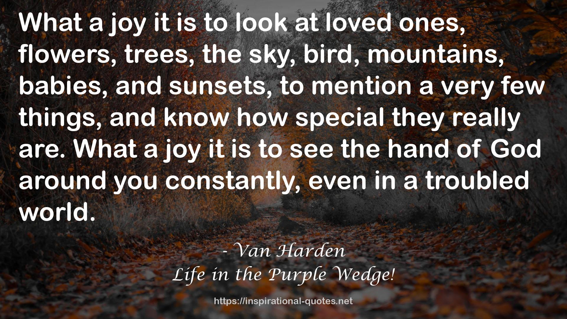 Van Harden QUOTES