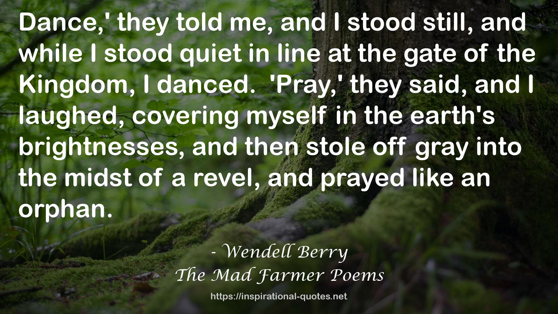 The Mad Farmer Poems QUOTES