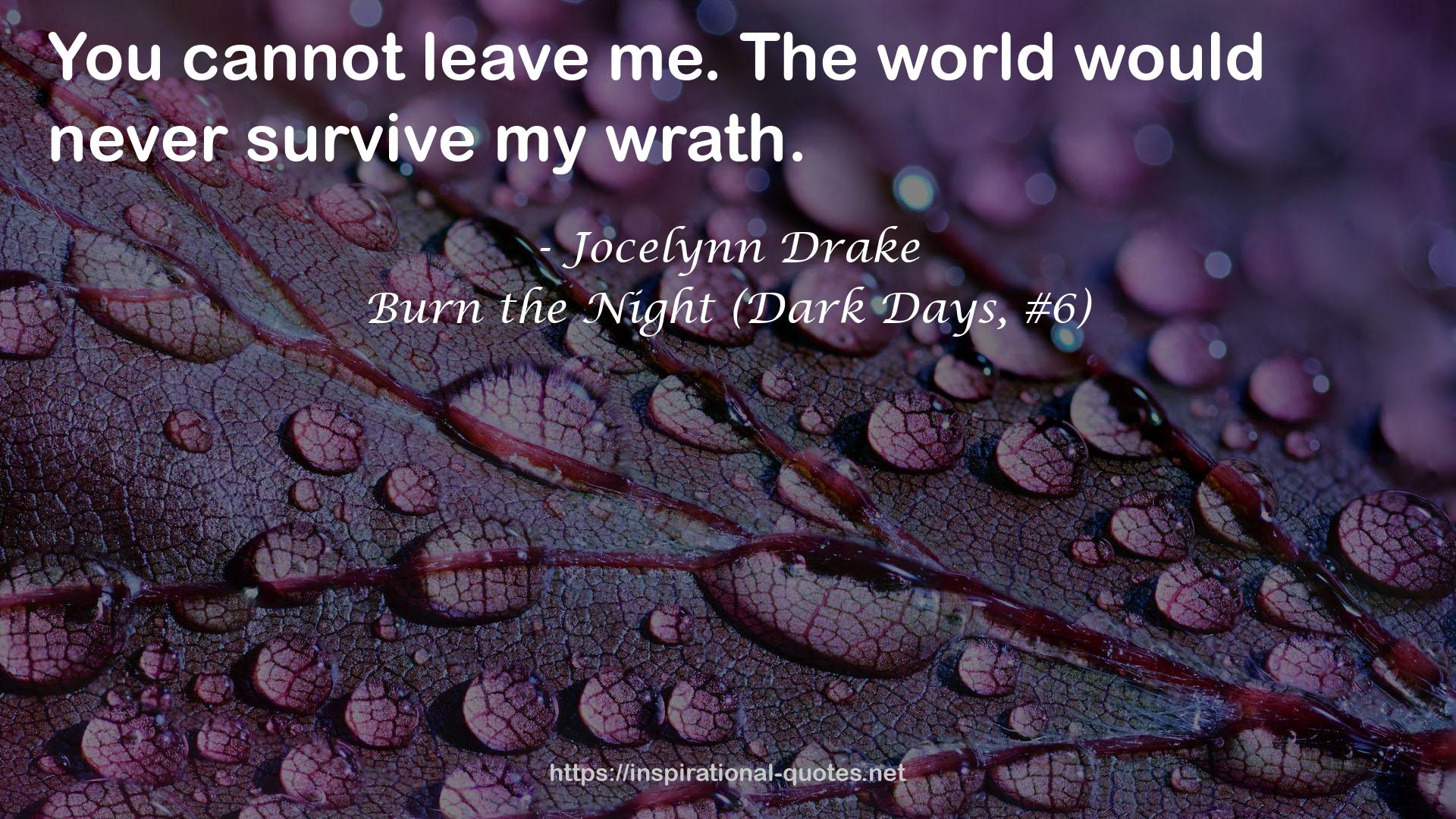 Burn the Night (Dark Days, #6) QUOTES