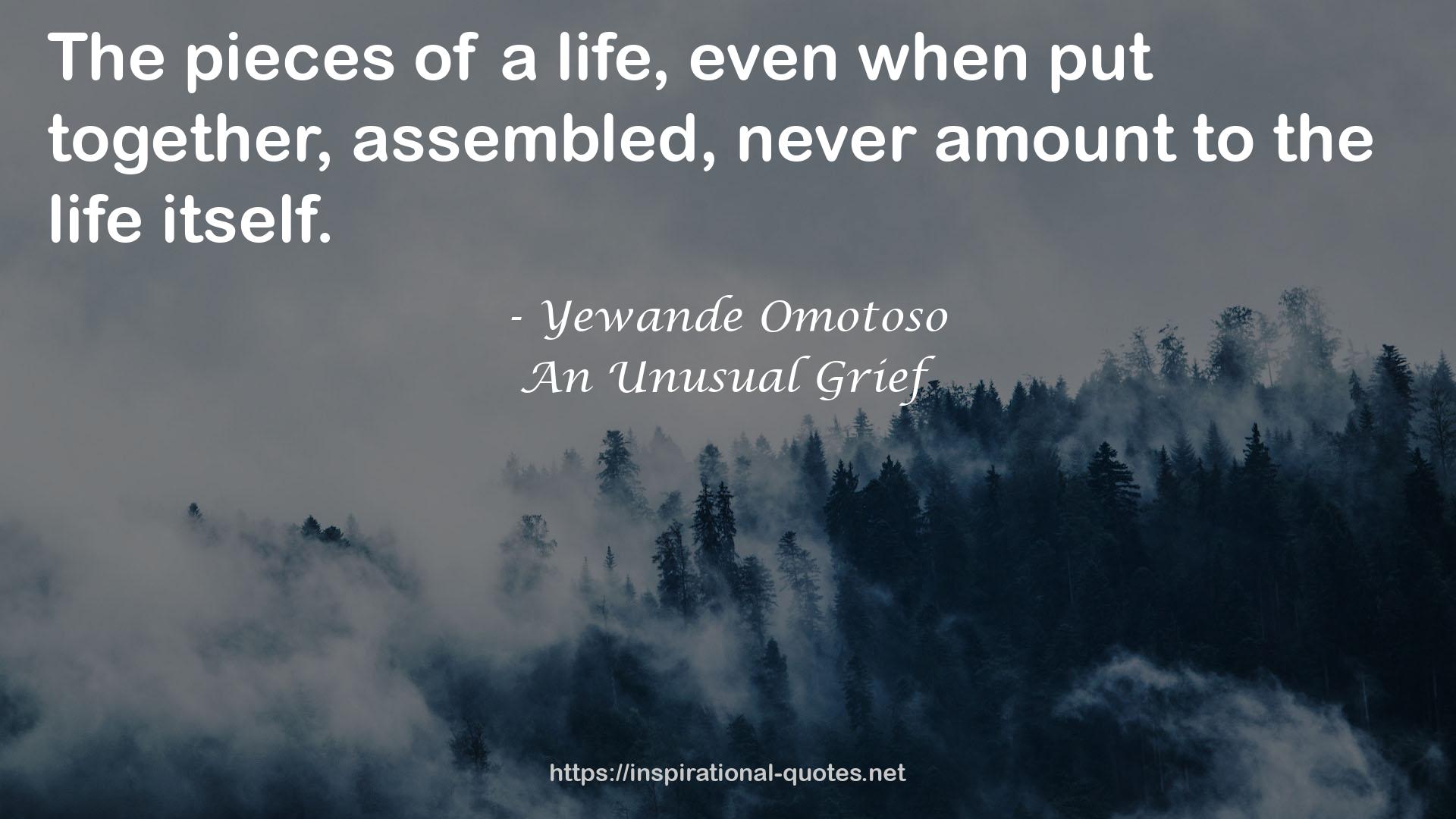 An Unusual Grief QUOTES