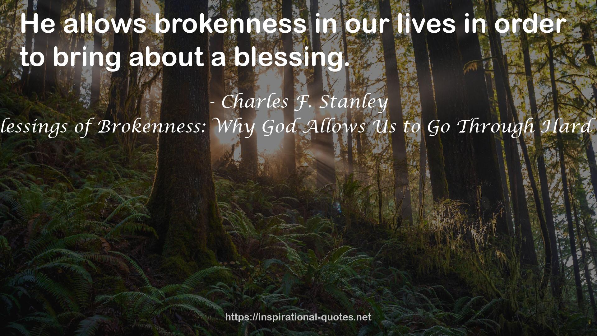 The Blessings of Brokenness: Why God Allows Us to Go Through Hard Times QUOTES