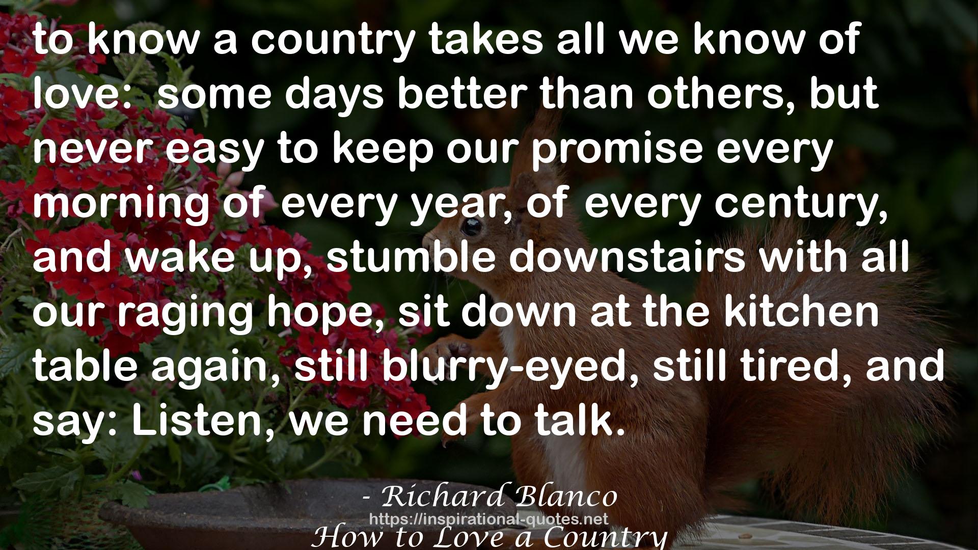How to Love a Country QUOTES