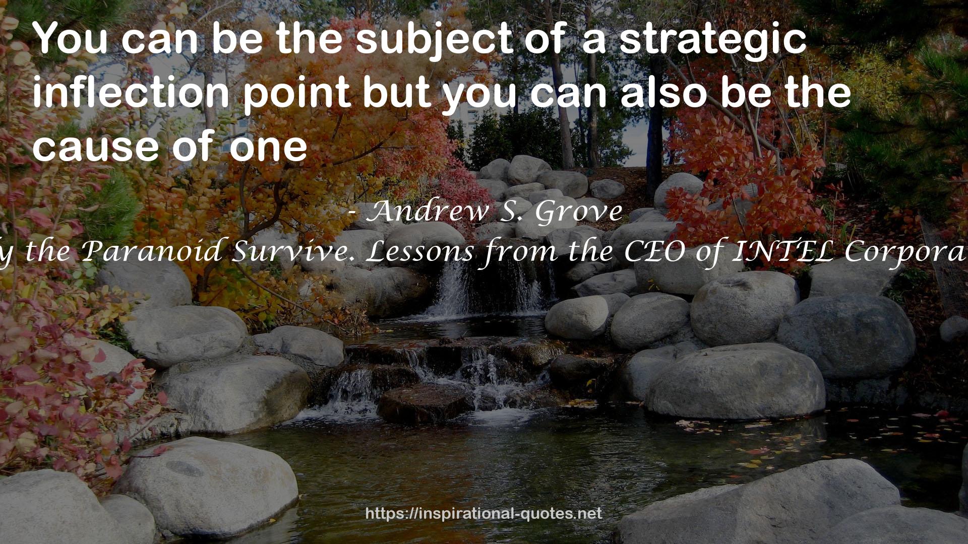 Andrew S. Grove QUOTES