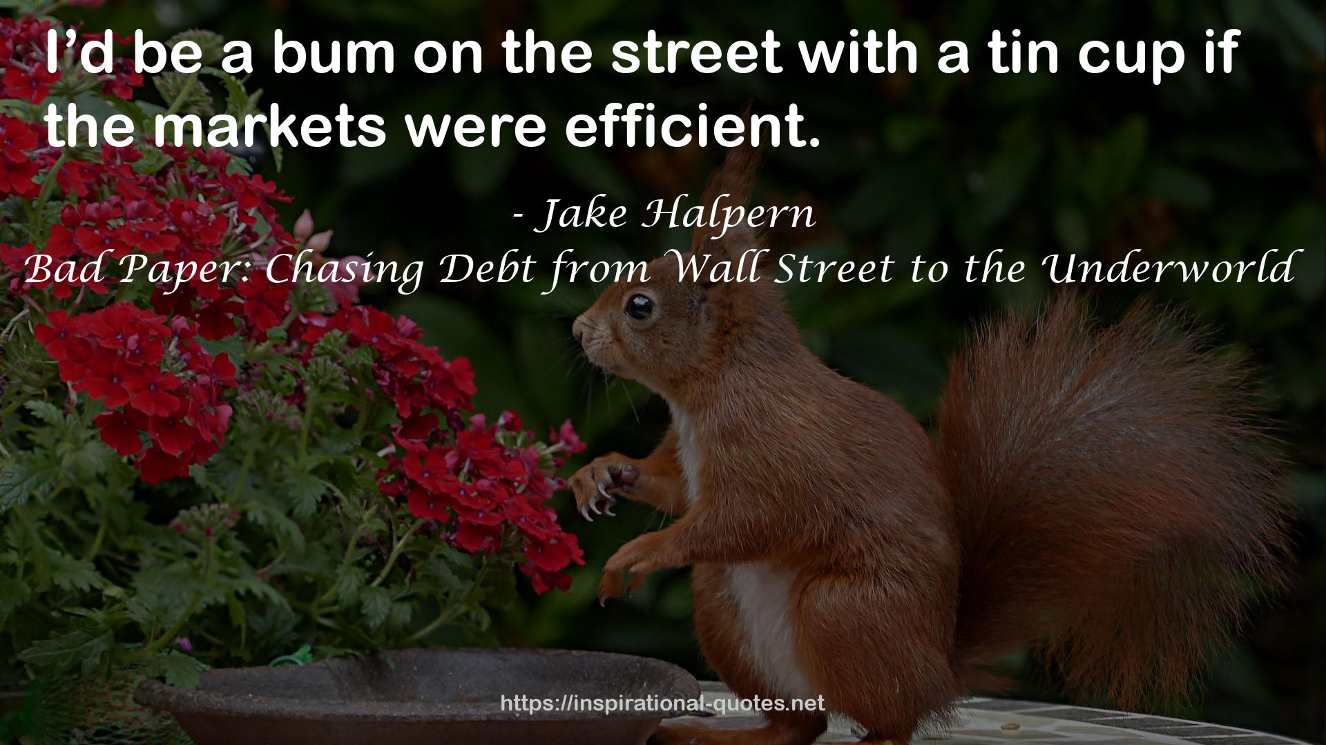 Bad Paper: Chasing Debt from Wall Street to the Underworld QUOTES