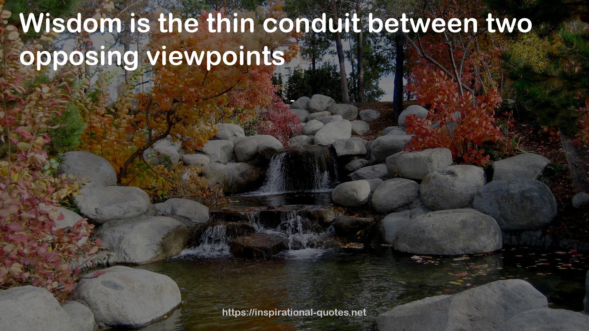 the thin conduit  QUOTES