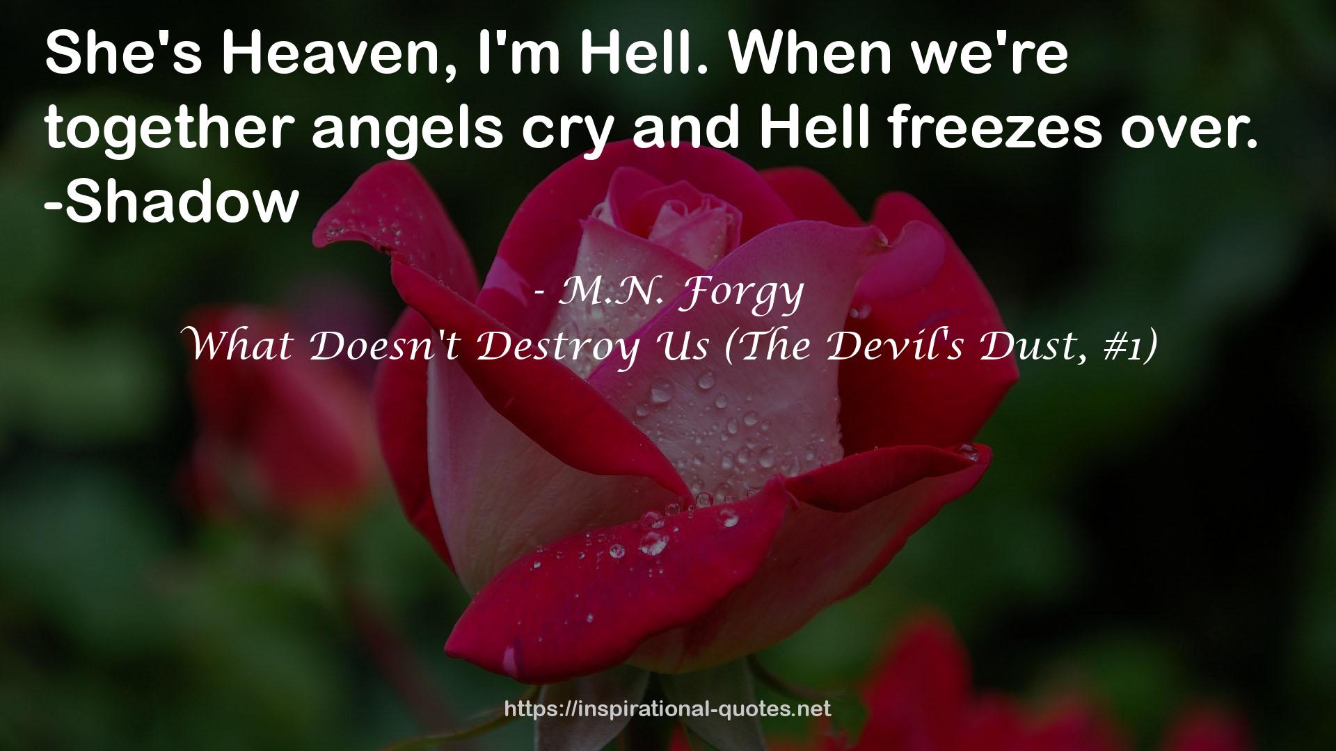 What Doesn't Destroy Us (The Devil's Dust, #1) QUOTES